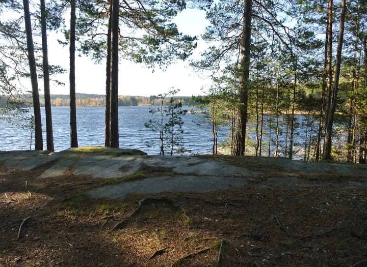 Norra Lelångs FVO