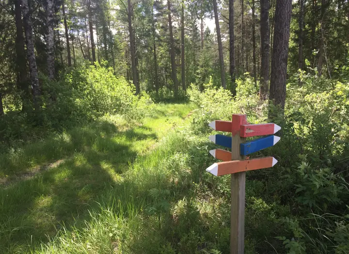 Långevi Vandringsleder