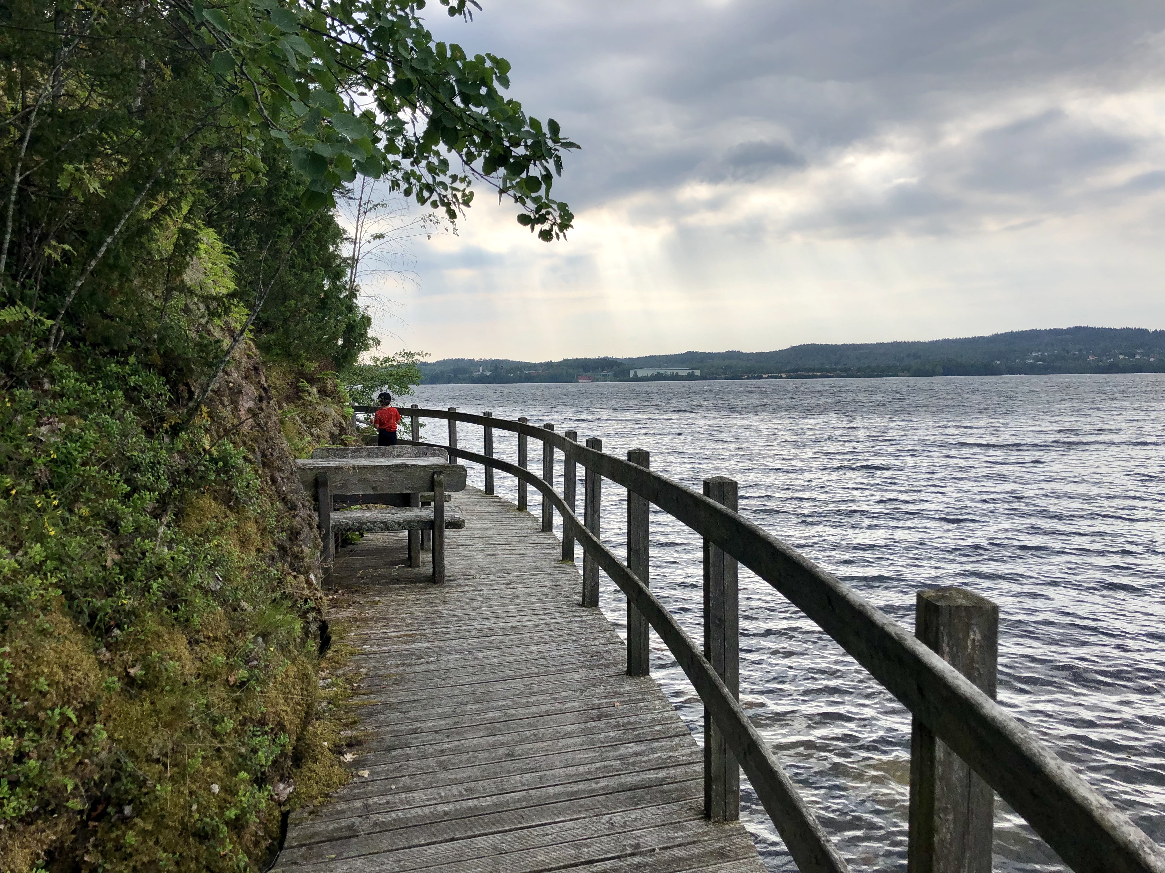 Naturreservat Baldersnäs längs Laxsjön