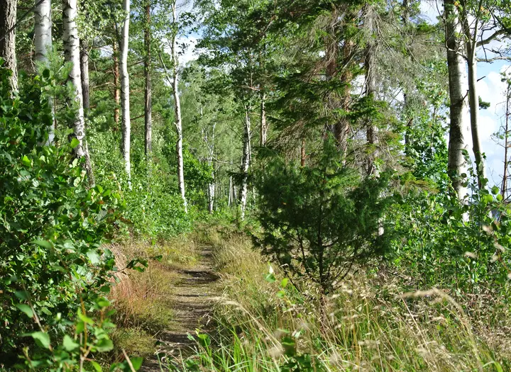 Nordleden