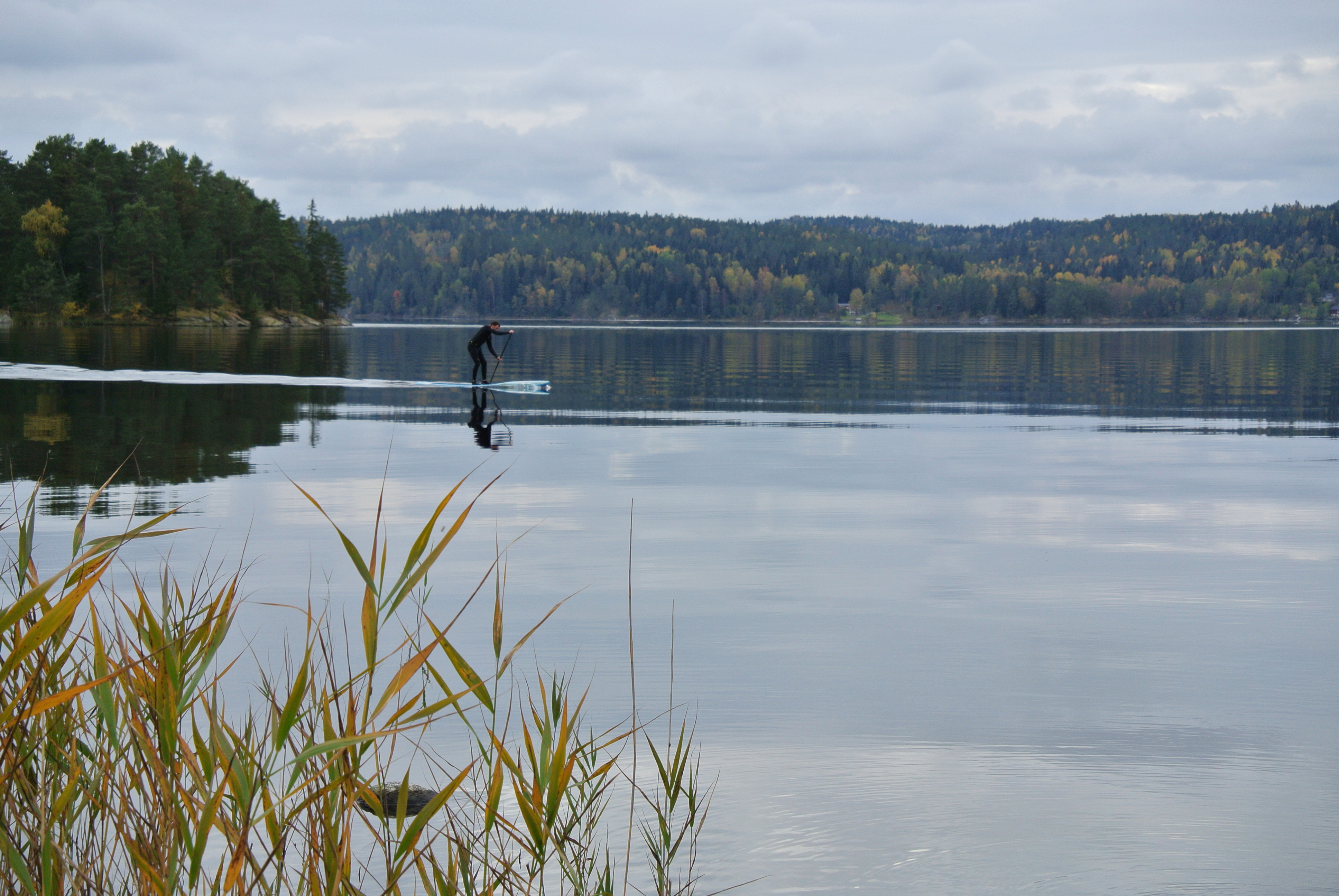 Råvarpens FVO
