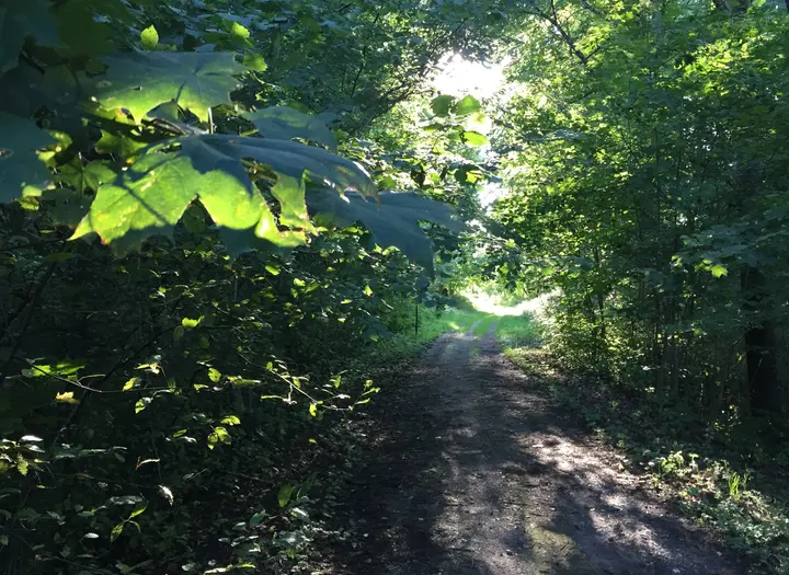 Naturreservat Skansen