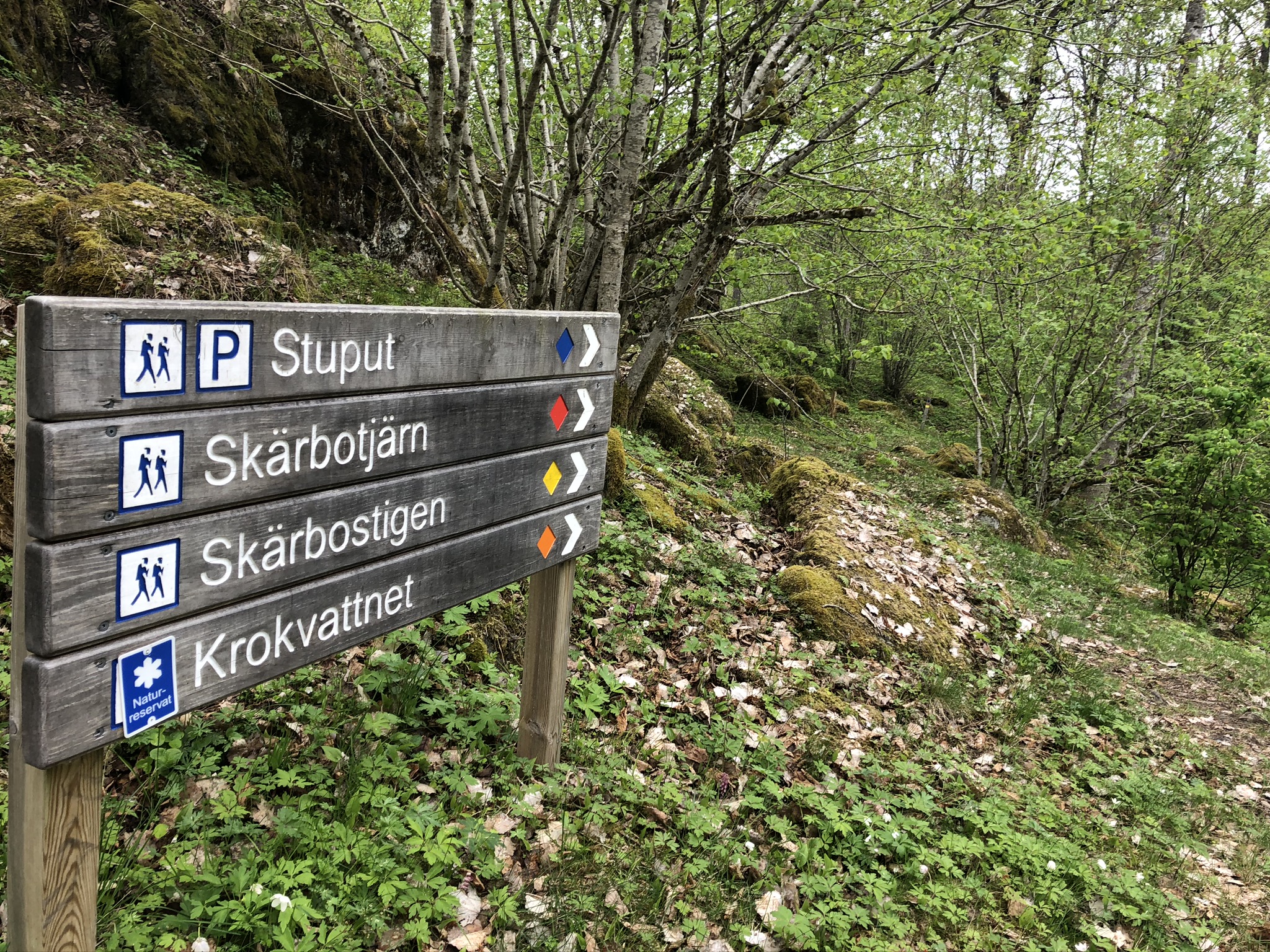 olika leder vid NR Skärbo