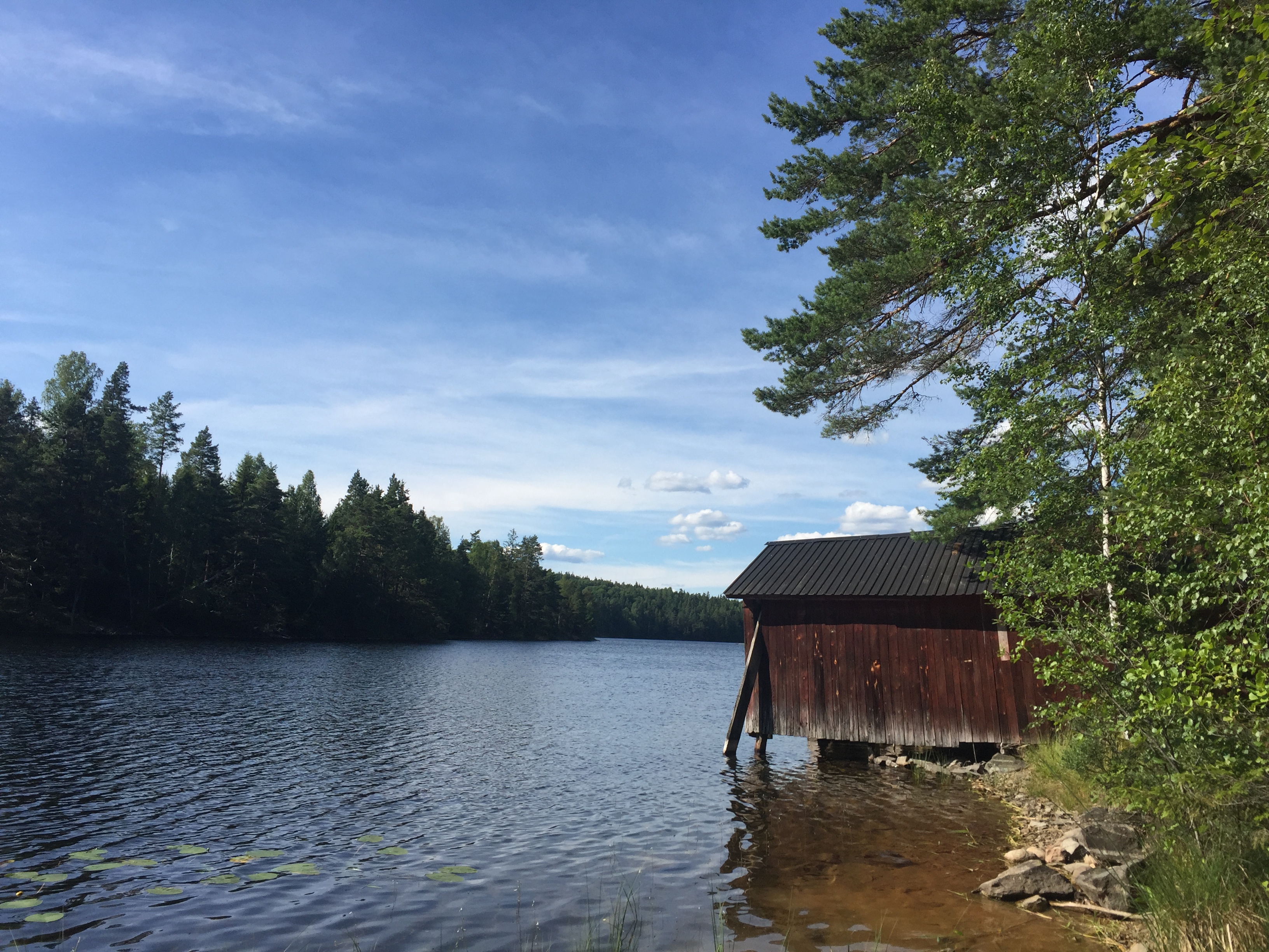 Svärdlångs FVO