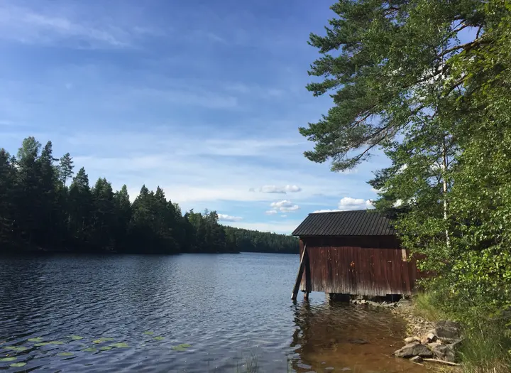 Svärdlångs FVO