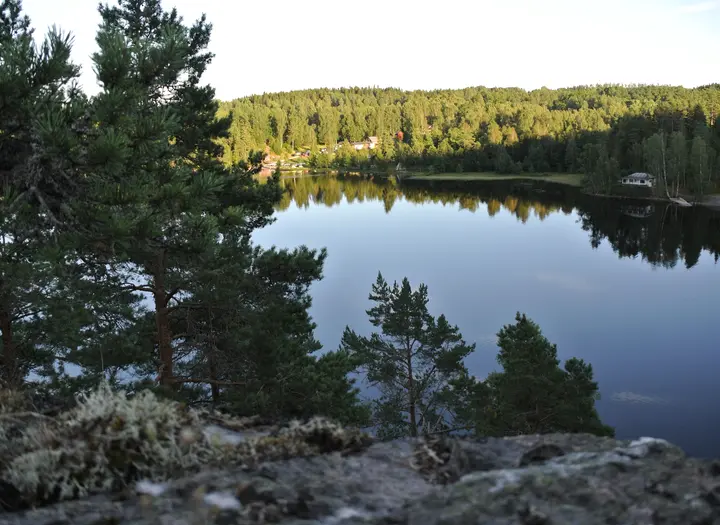 Västra Silens FVO