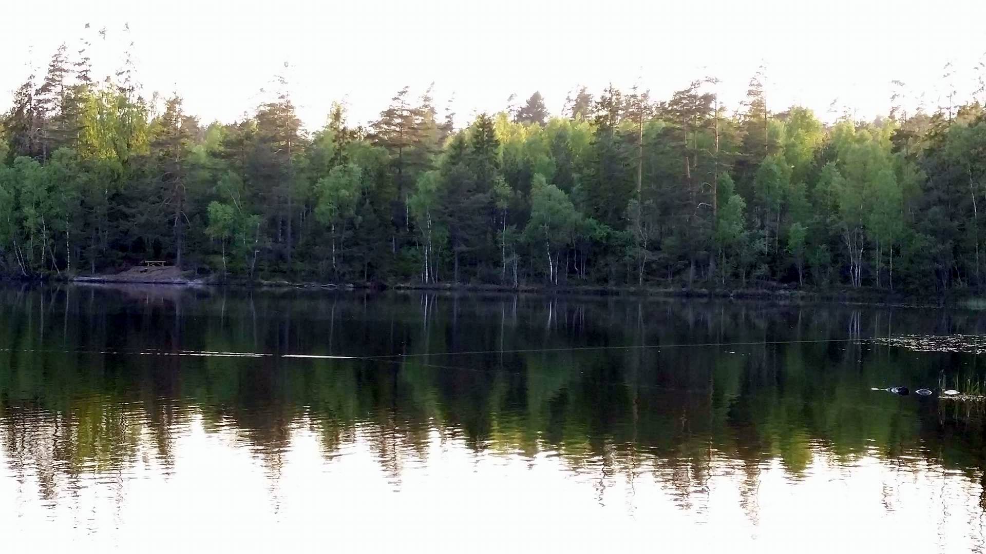 Västra Solsjöns FVO
