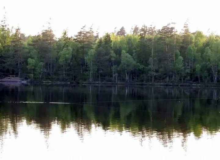 Västra Solsjöns FVO