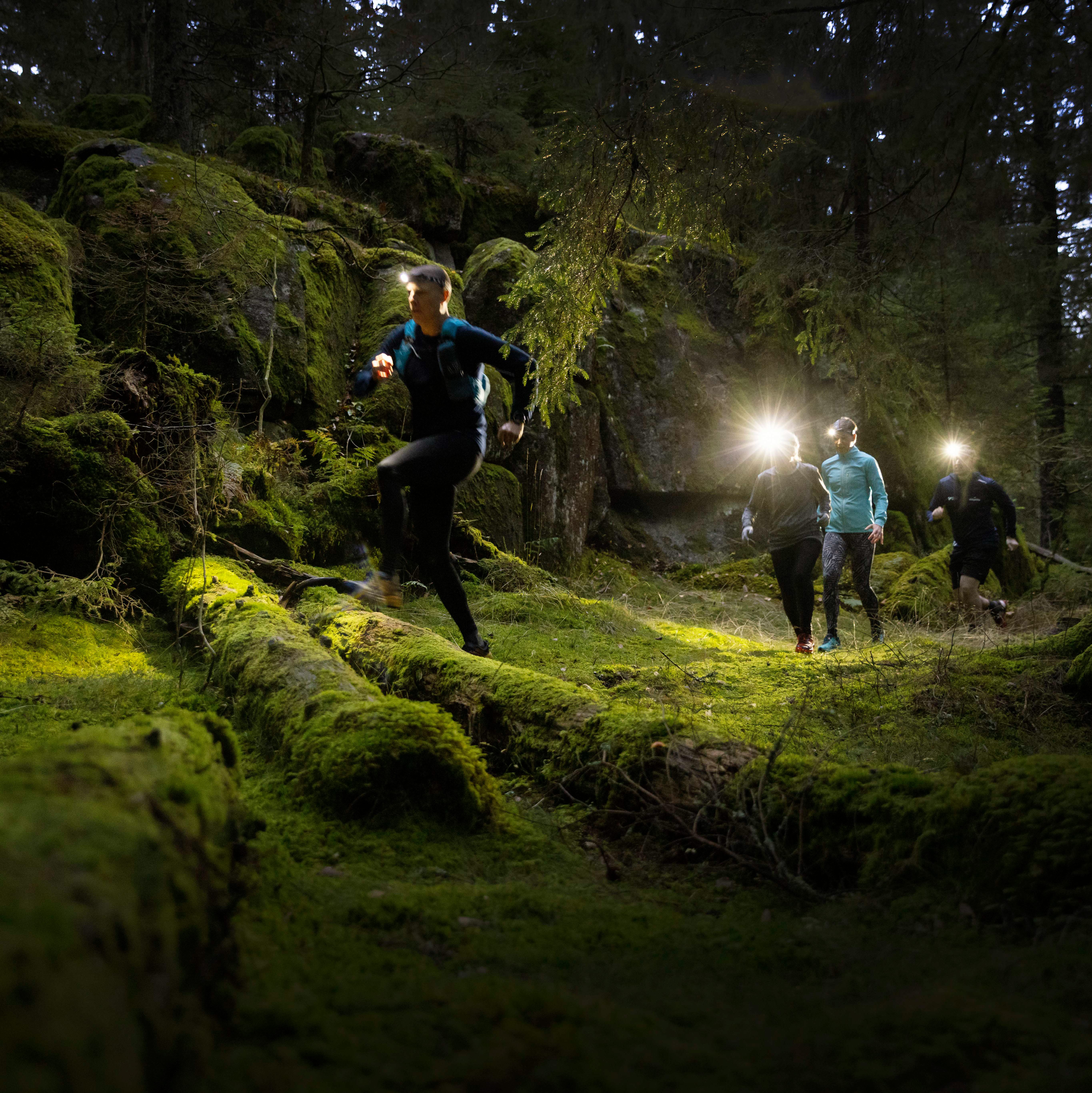 Traillöpare med pannlampor springer djup skog utmed traillöpningsspår på Billingen Skövde