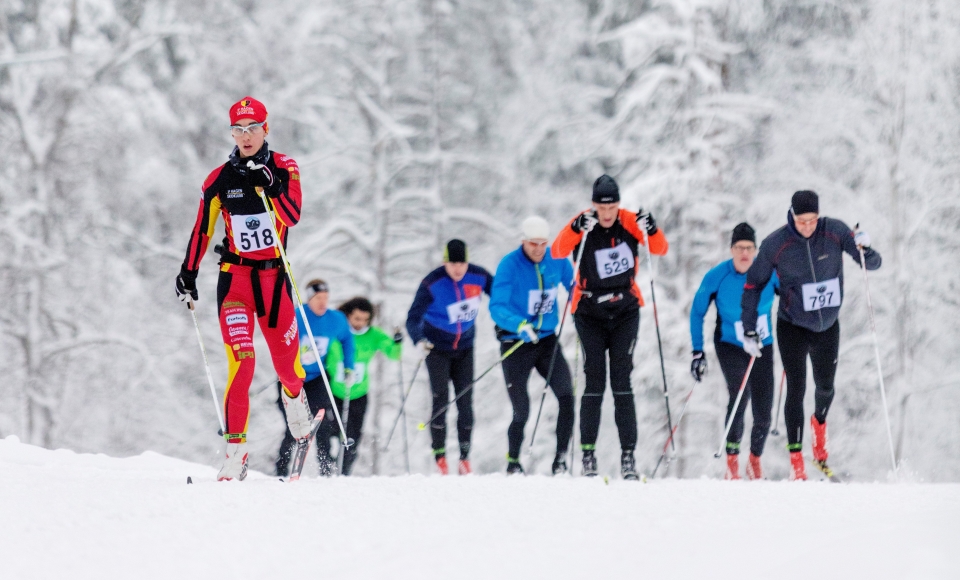 Skidåkare med nummerlappar i ett vinterlandskap