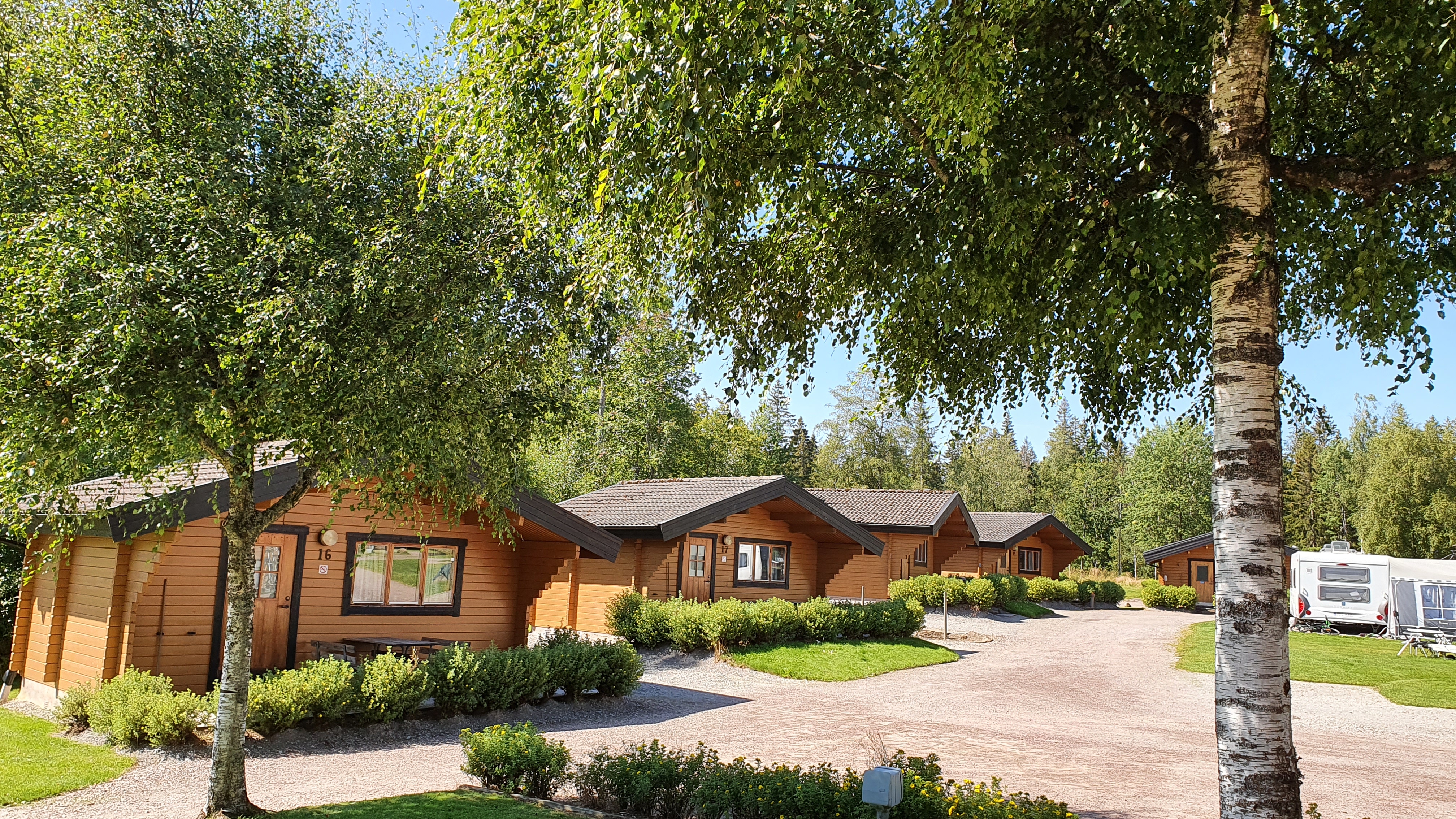 Timrade stugor intill varandra, bakom frodigt gröna träd på Billingens Stugby & Camping på Billingen Skövde. 