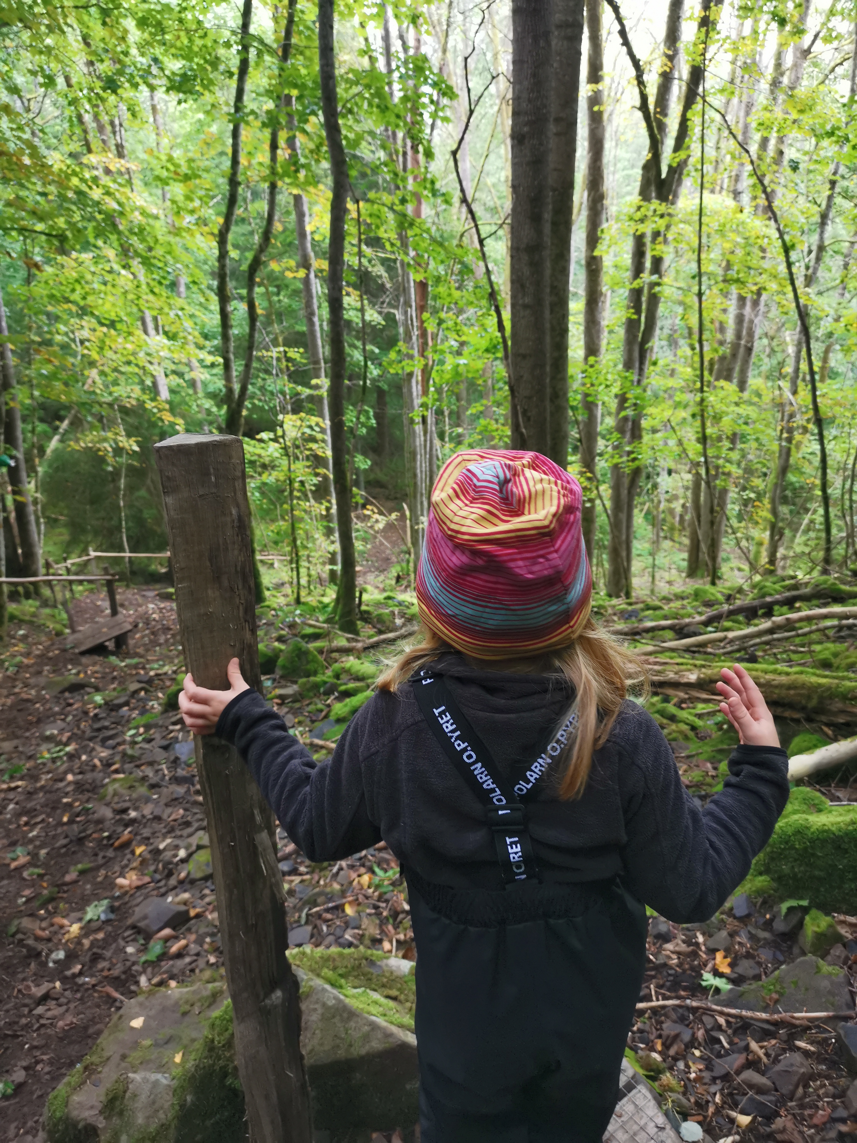 Liten flicka i färgglad mössa står på en höjd och tittar ut över skogen.