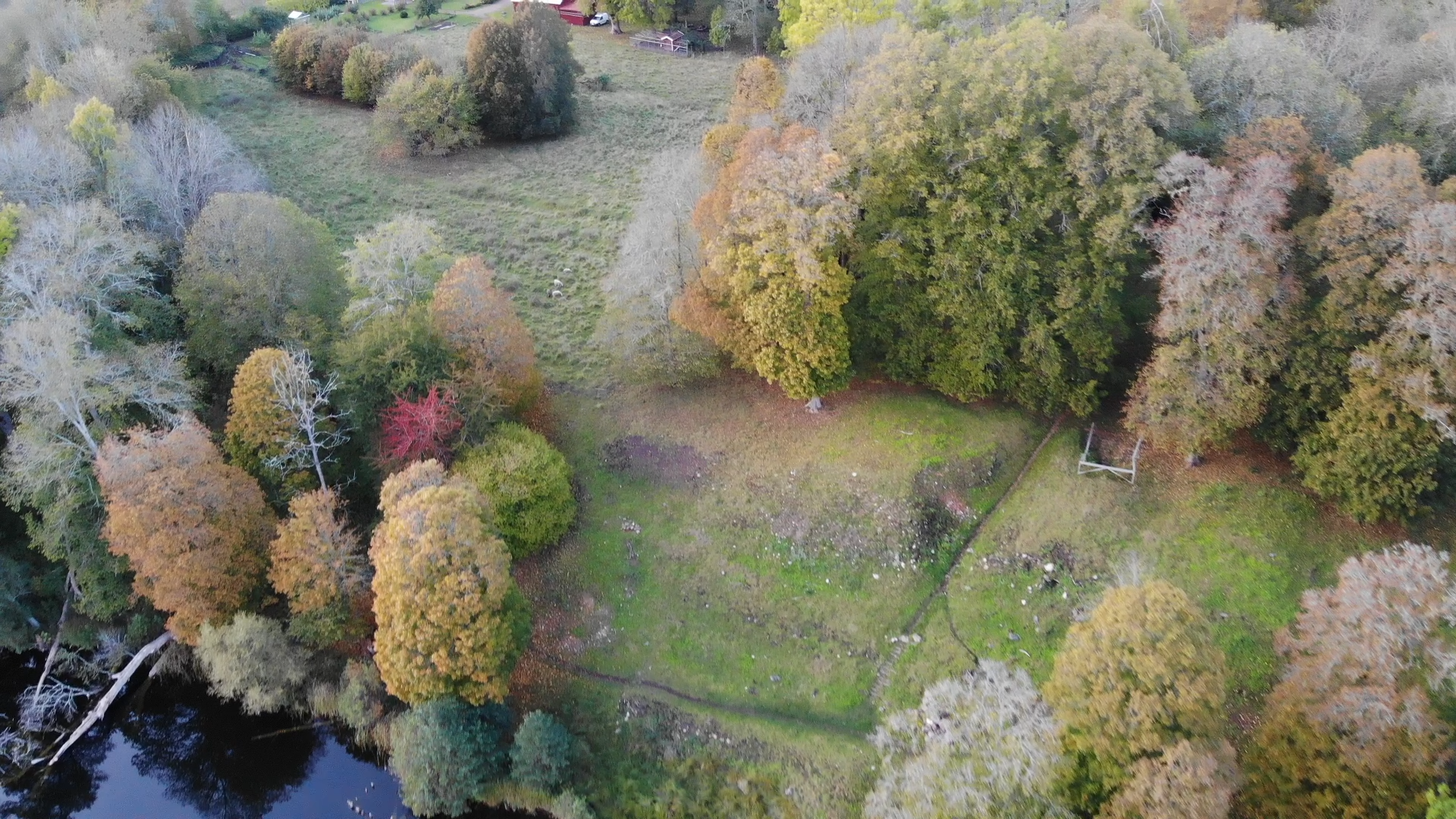 Vy över Höjentorps ängar, skog i mild höstskrud och ett gräsfält öppnar sig i mitten av bilden