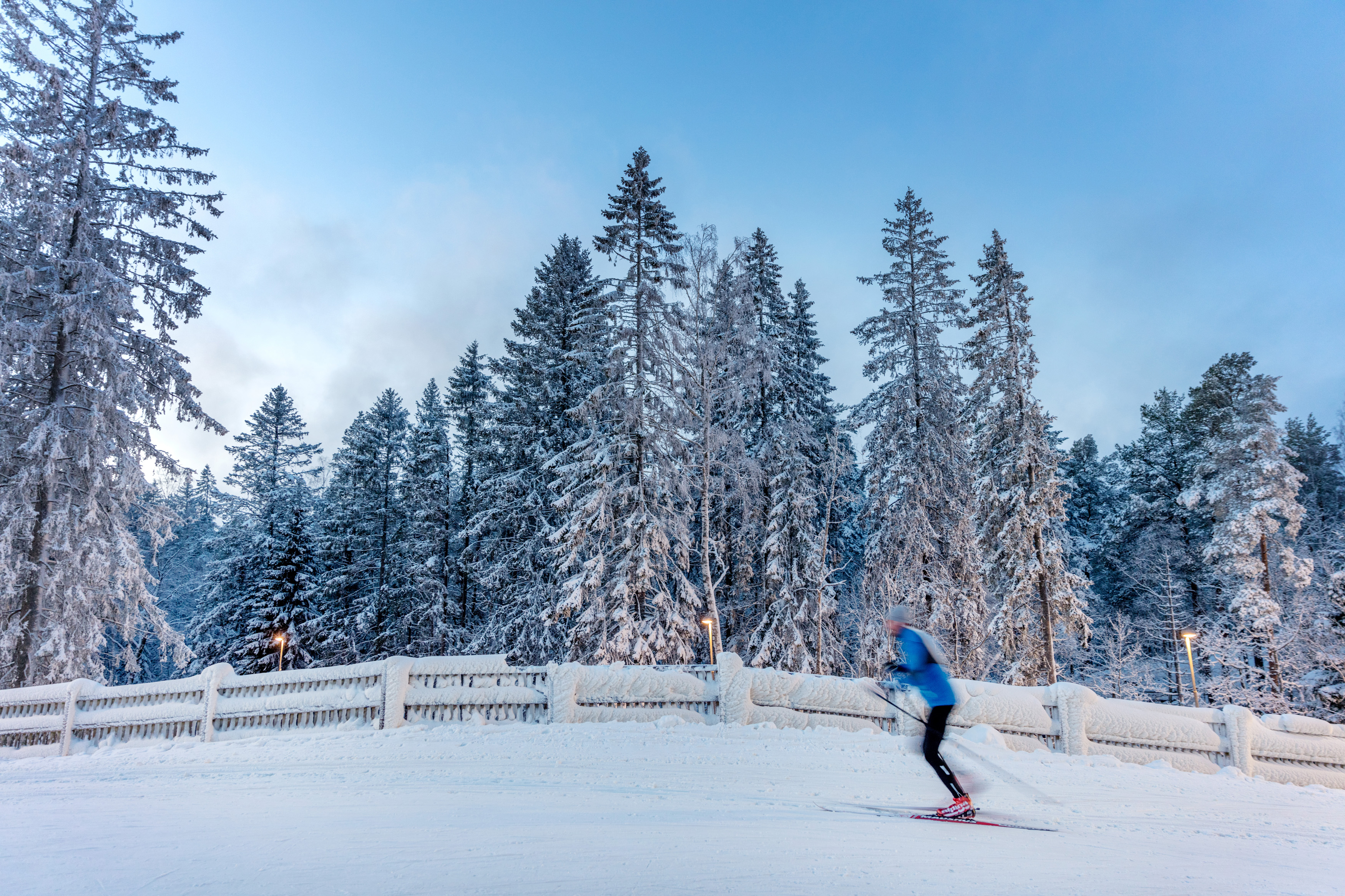 Skidåkare svischar förbi i spåren en vinterdag på Billingen Skövde. 