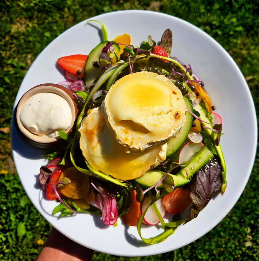 en tallrik med sallad med getost och gröna primörer. 