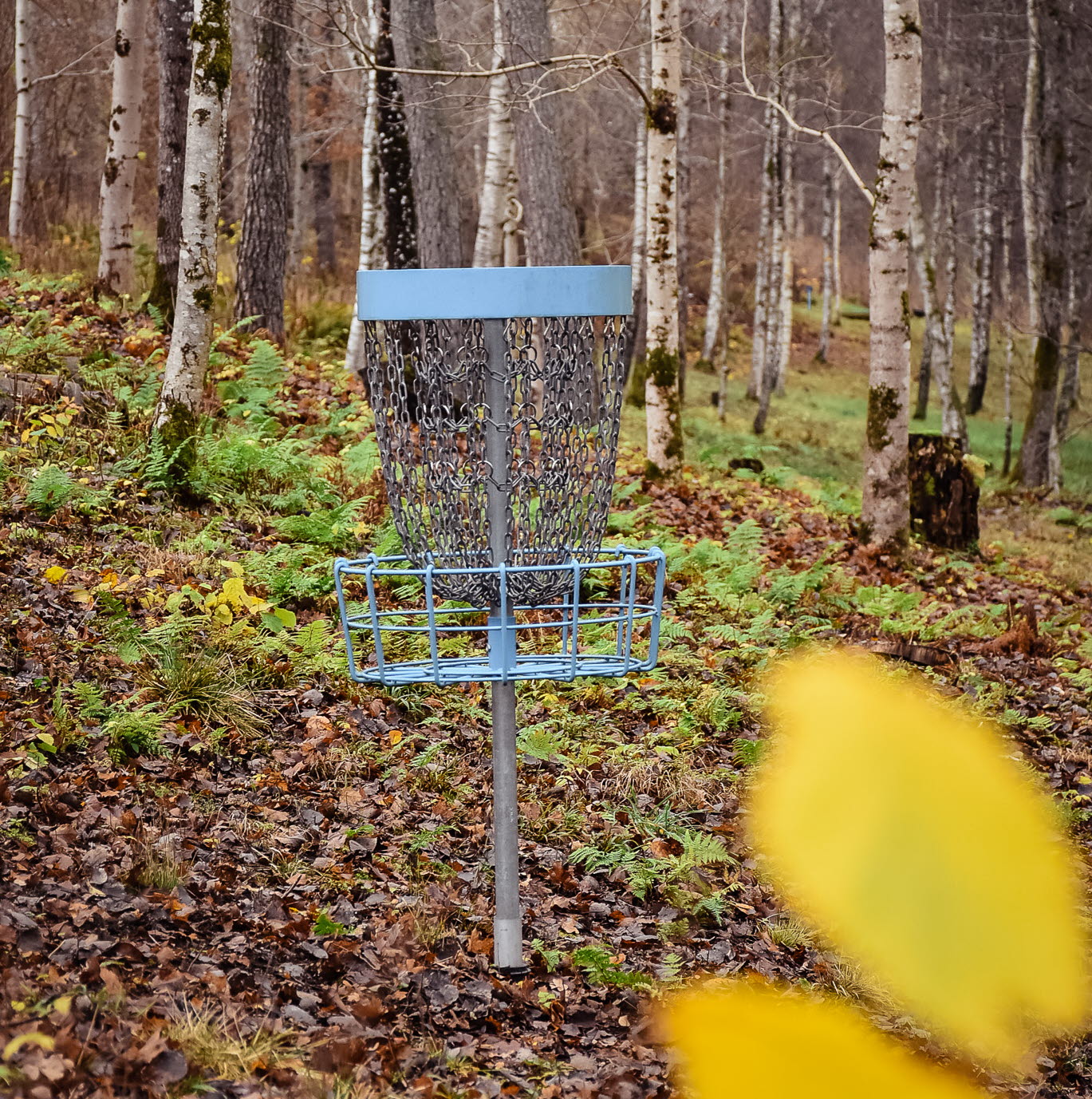 Discgolf bollebygd