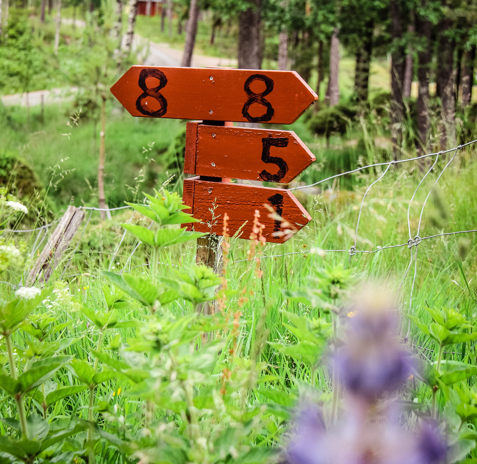 Vandringsleder Gesebol