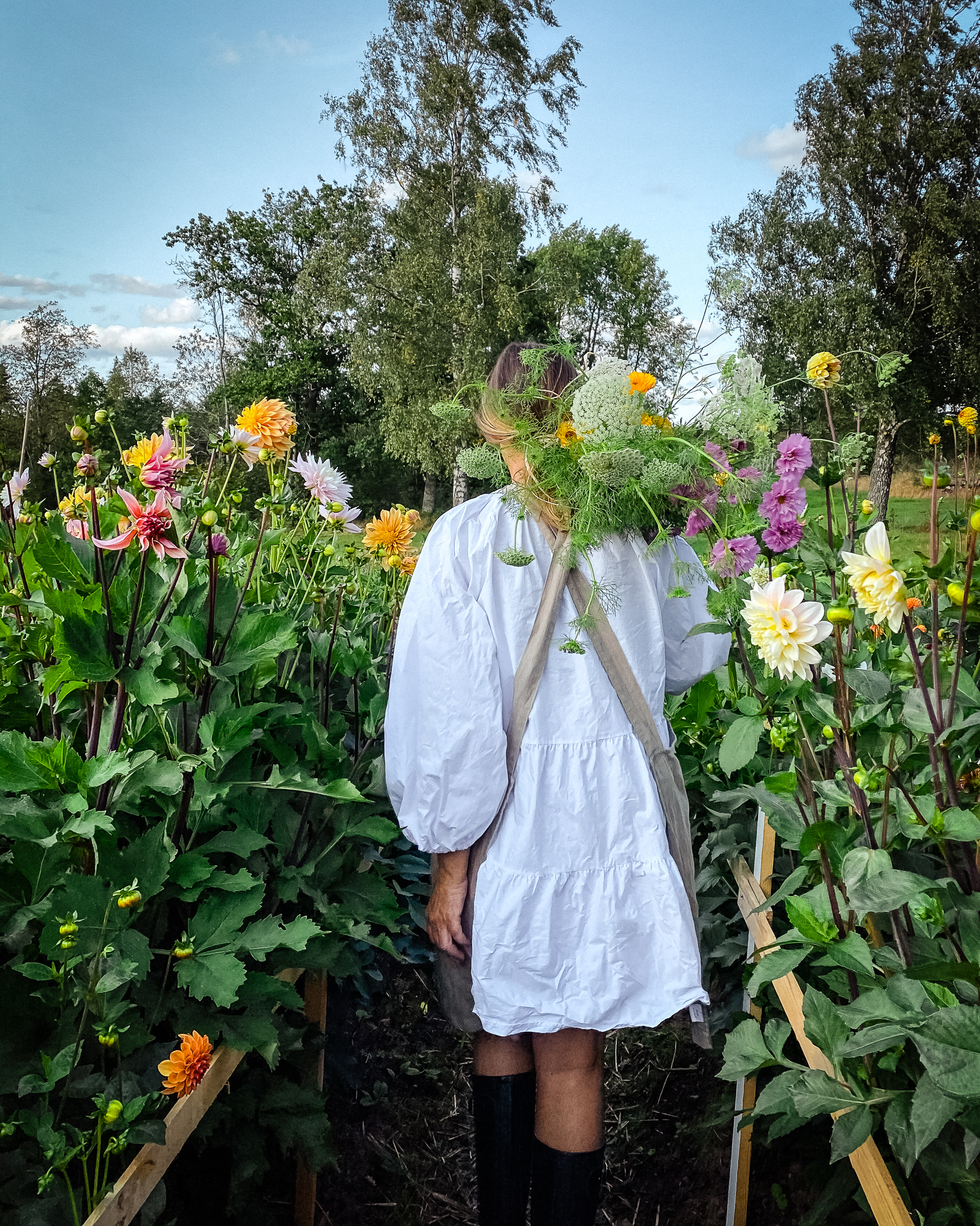 Lindedalen wellness garden, blommor i bukett