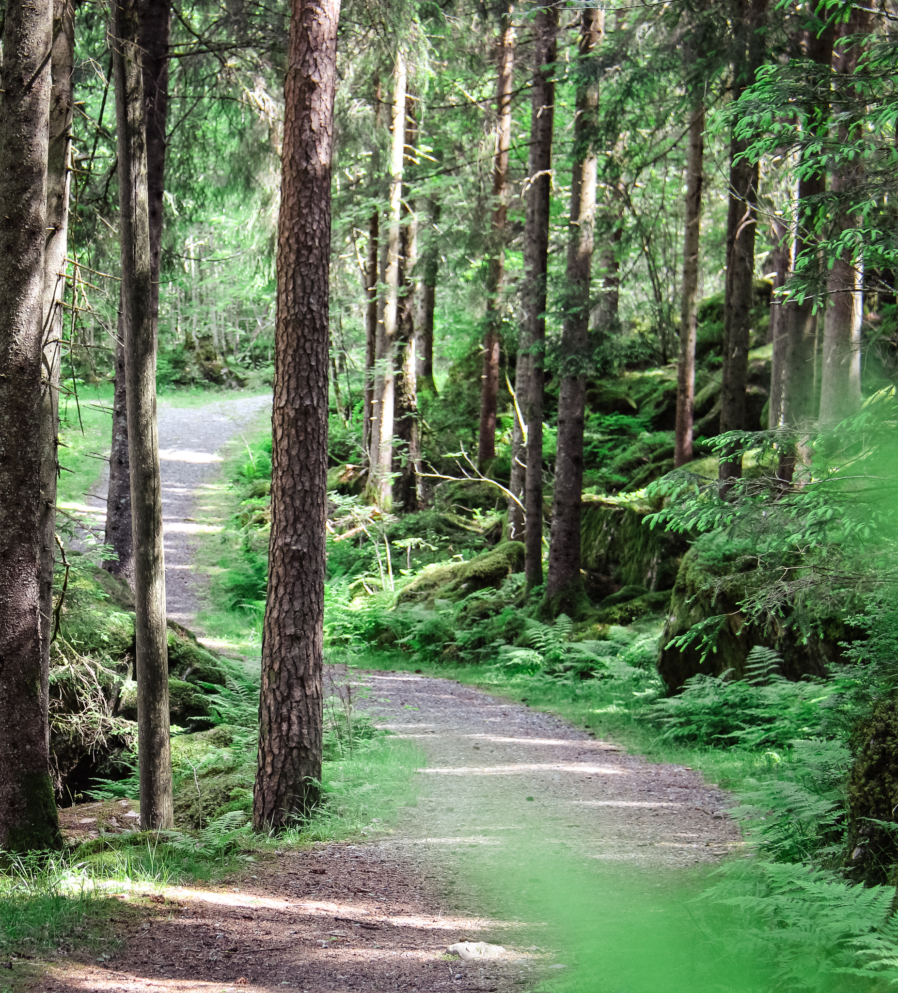 Motionsspår IK Omega