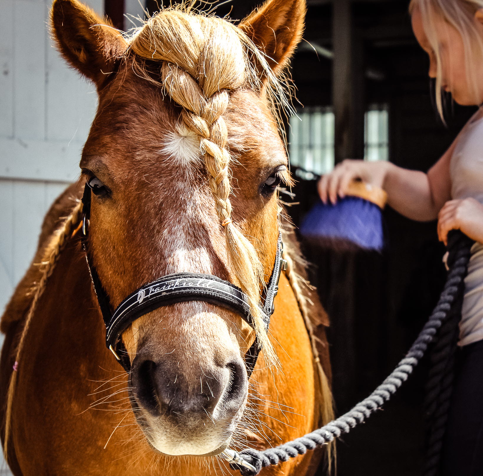 Stall 27, tjej som ryktar