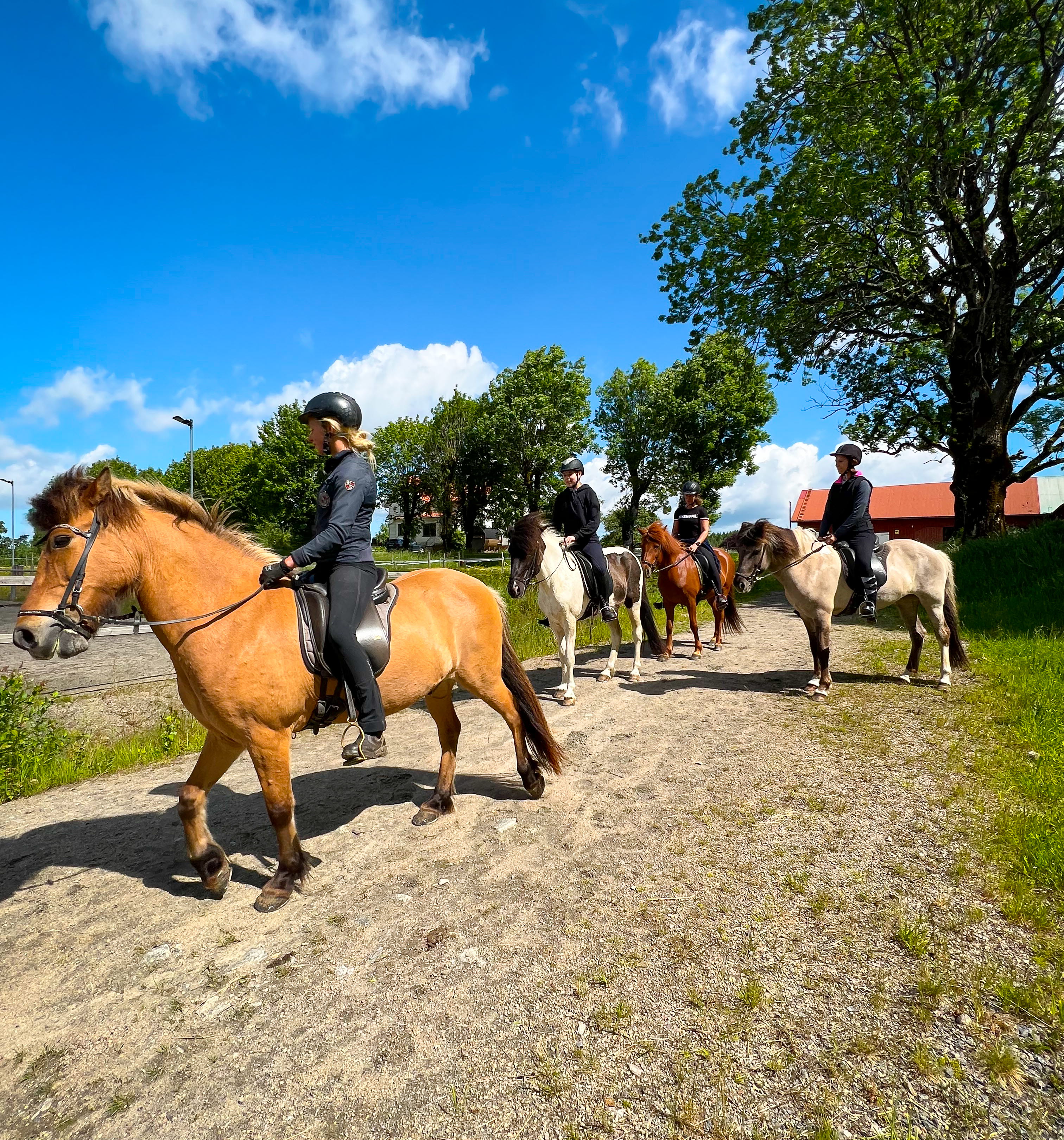 Stall 27, turridning