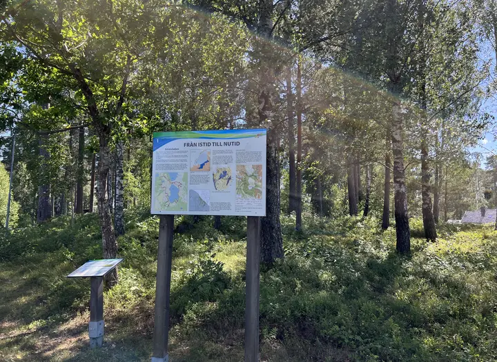 Istidsleden