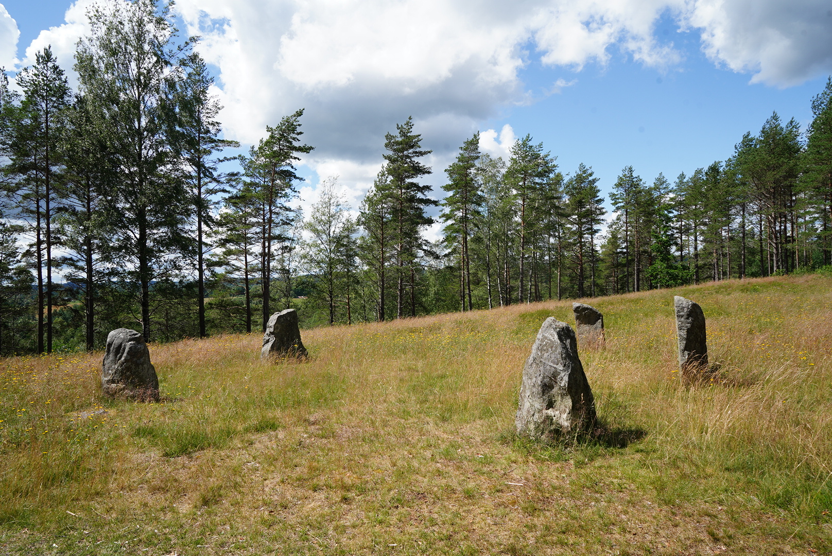 Äng i Ed naturreservat