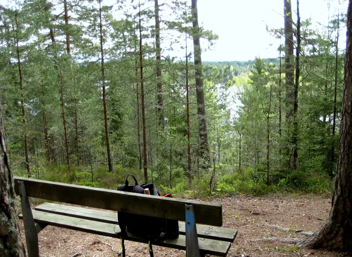 Stora/ Lilla Sågtjärns FVO