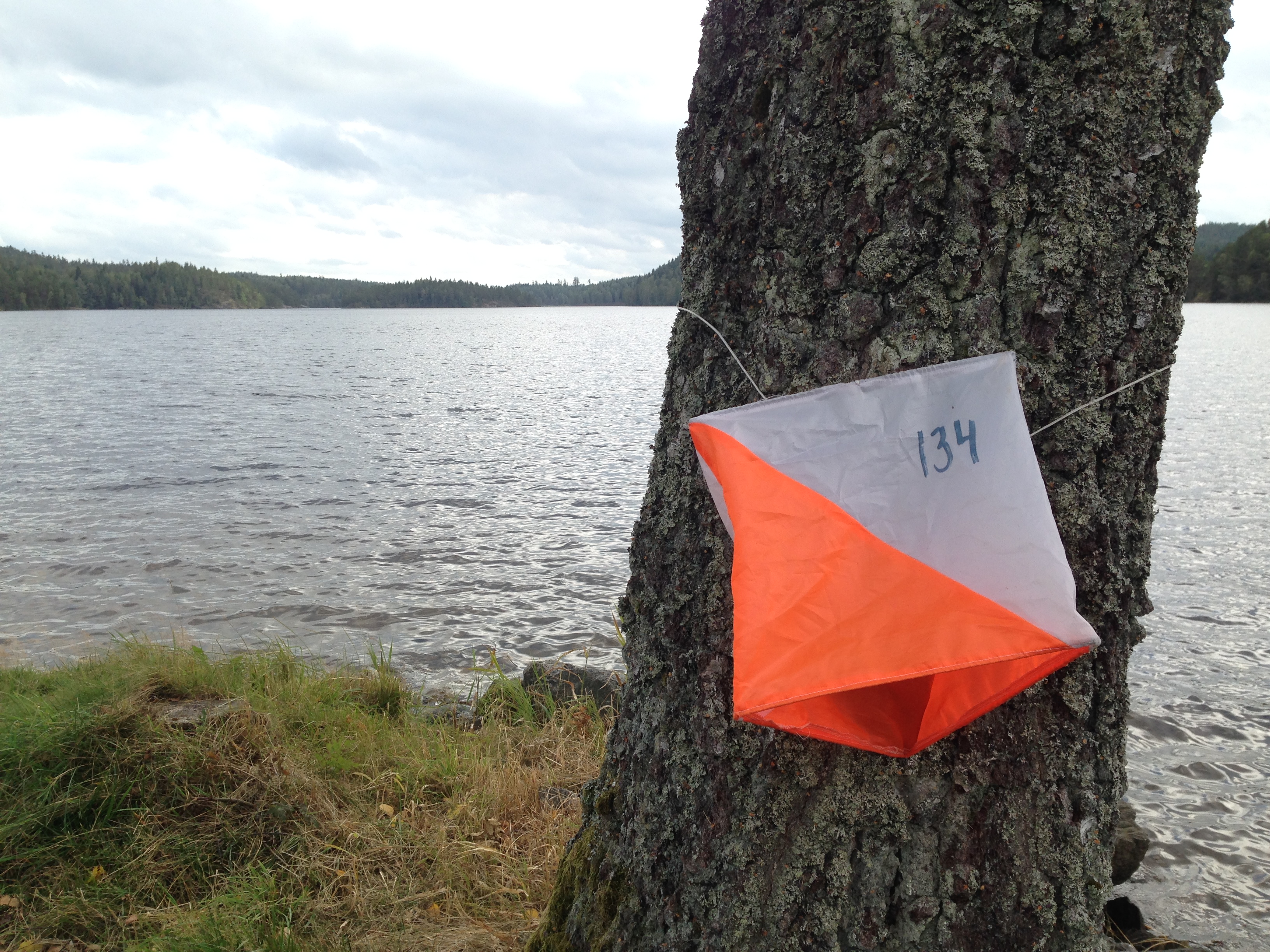 Naturpasset