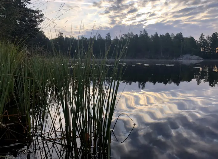 Södra Kornsjöns FVO