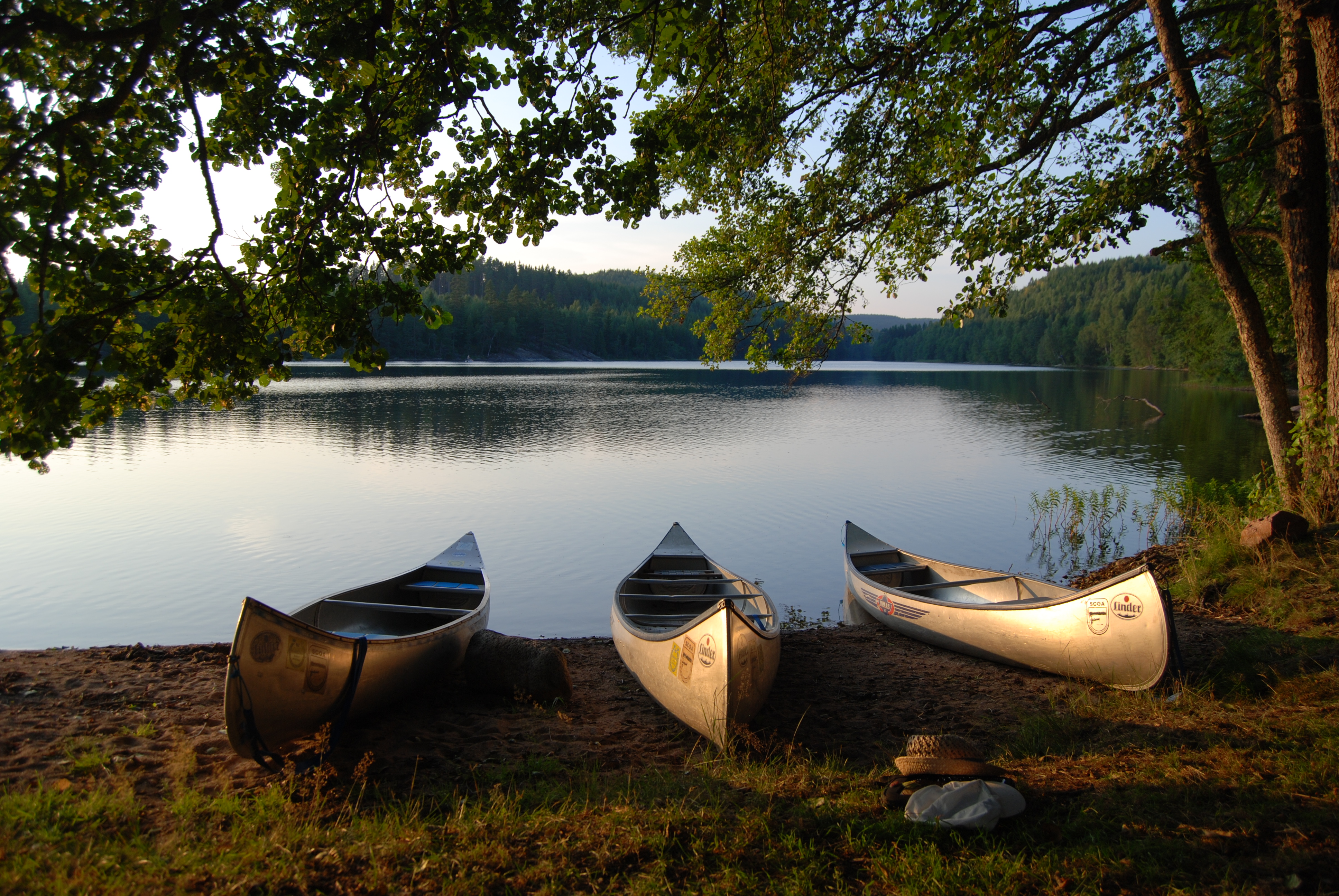 Kanoter i och vid sjön