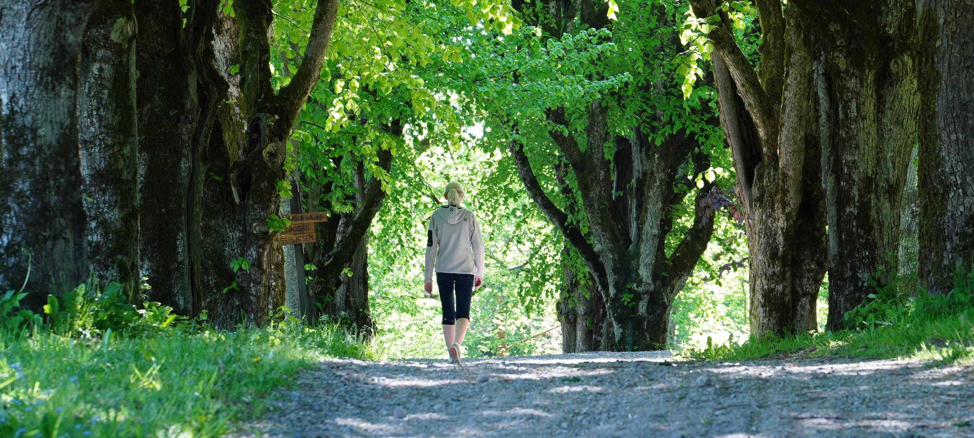  aveny på Baldersnäs