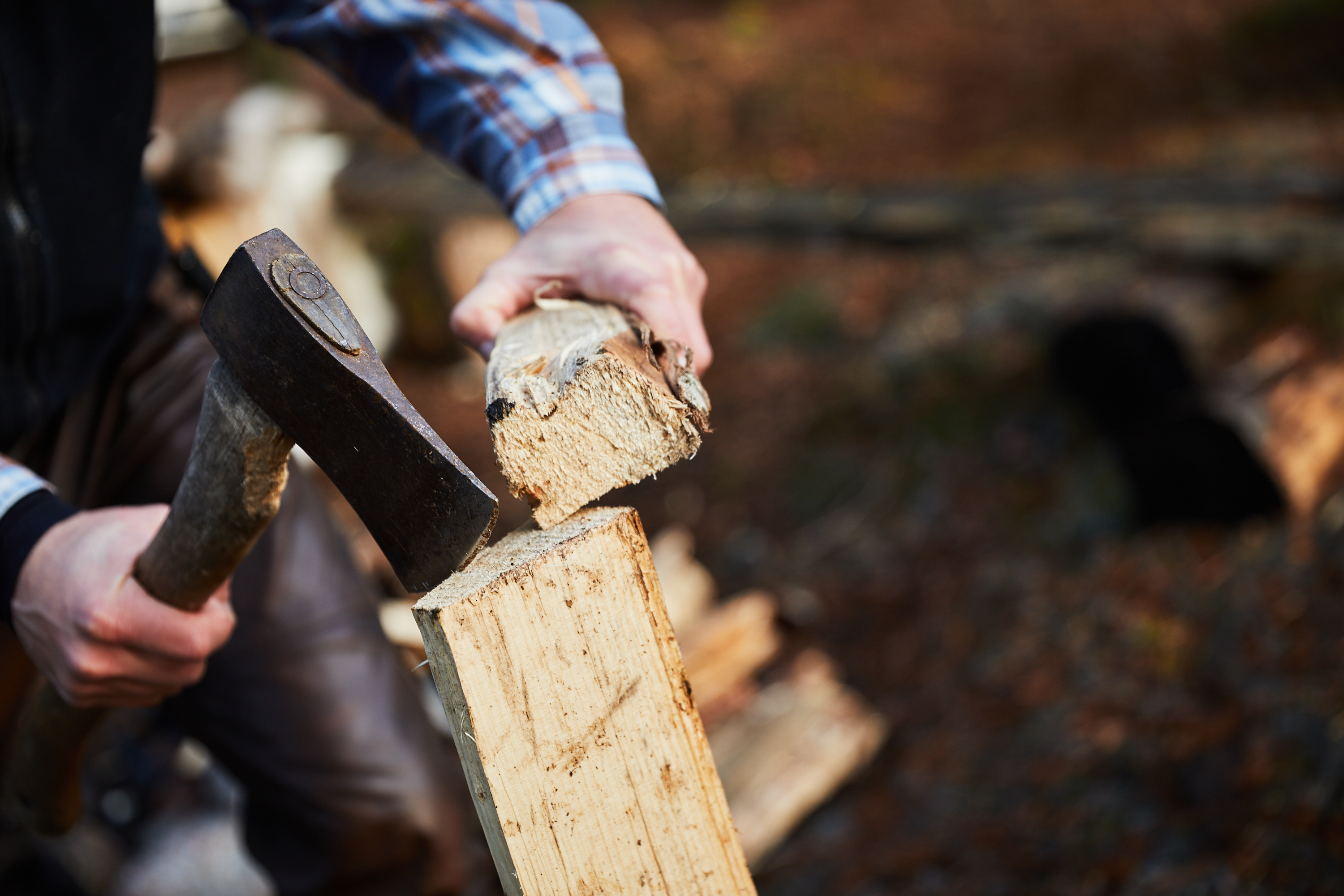 Bushcraft med Dalslands Aktiviteter