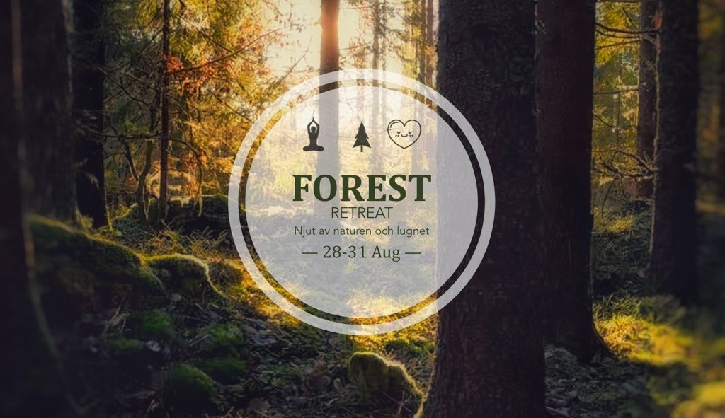 Forest retreat, en weekend på Ragnerud Vandringsdestination.