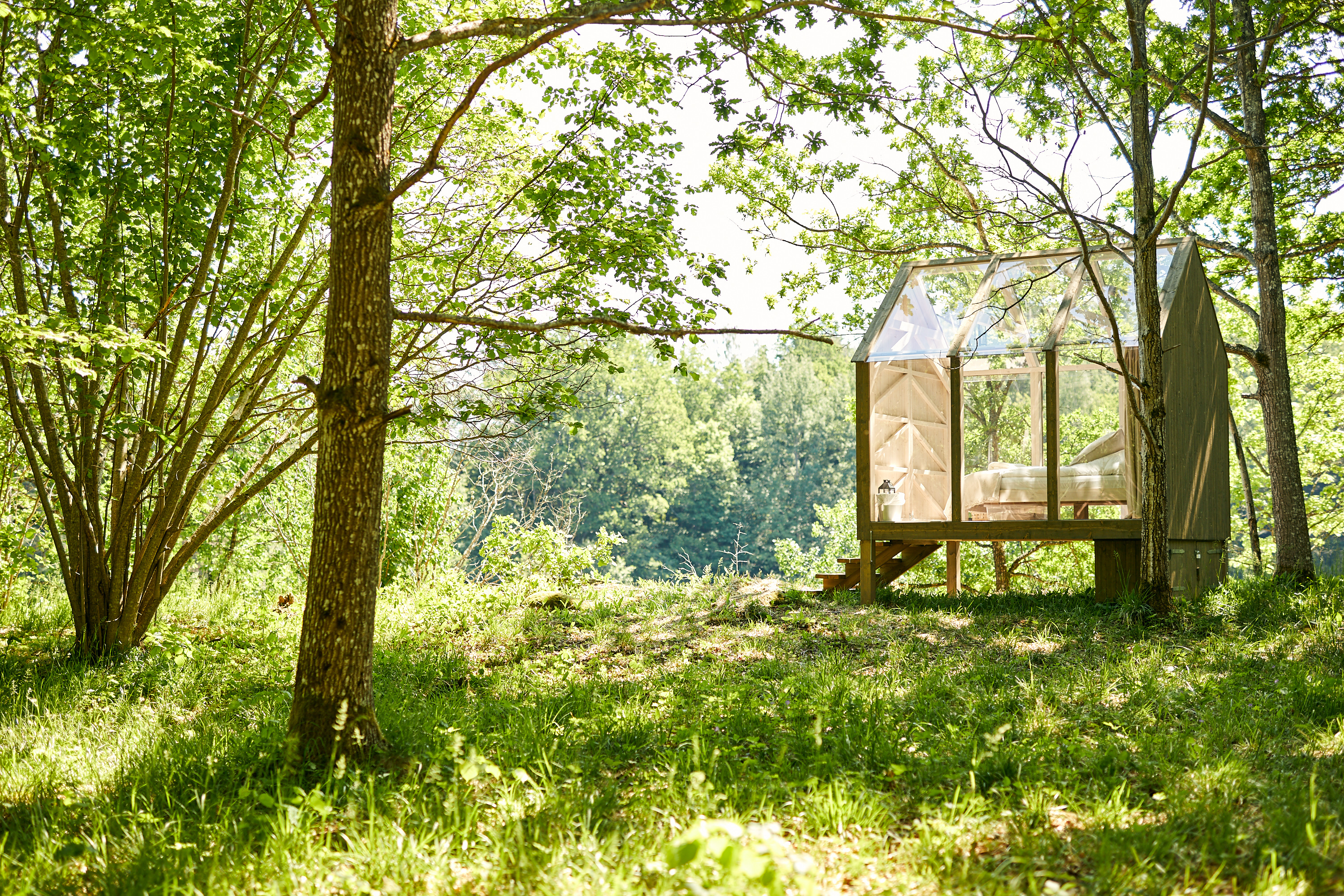 Glashus i skogsglänta