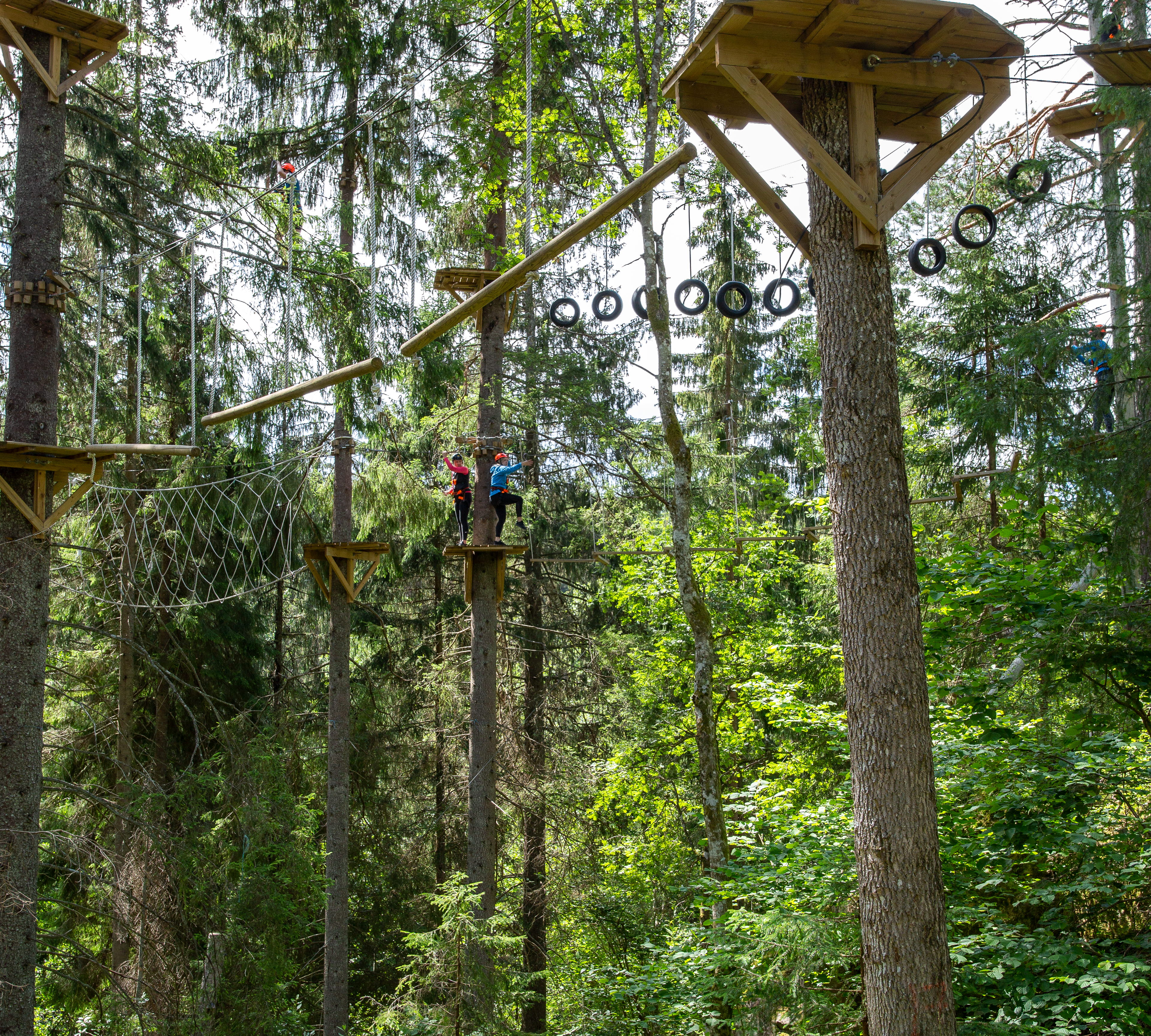 Dalslands Aktiviteter