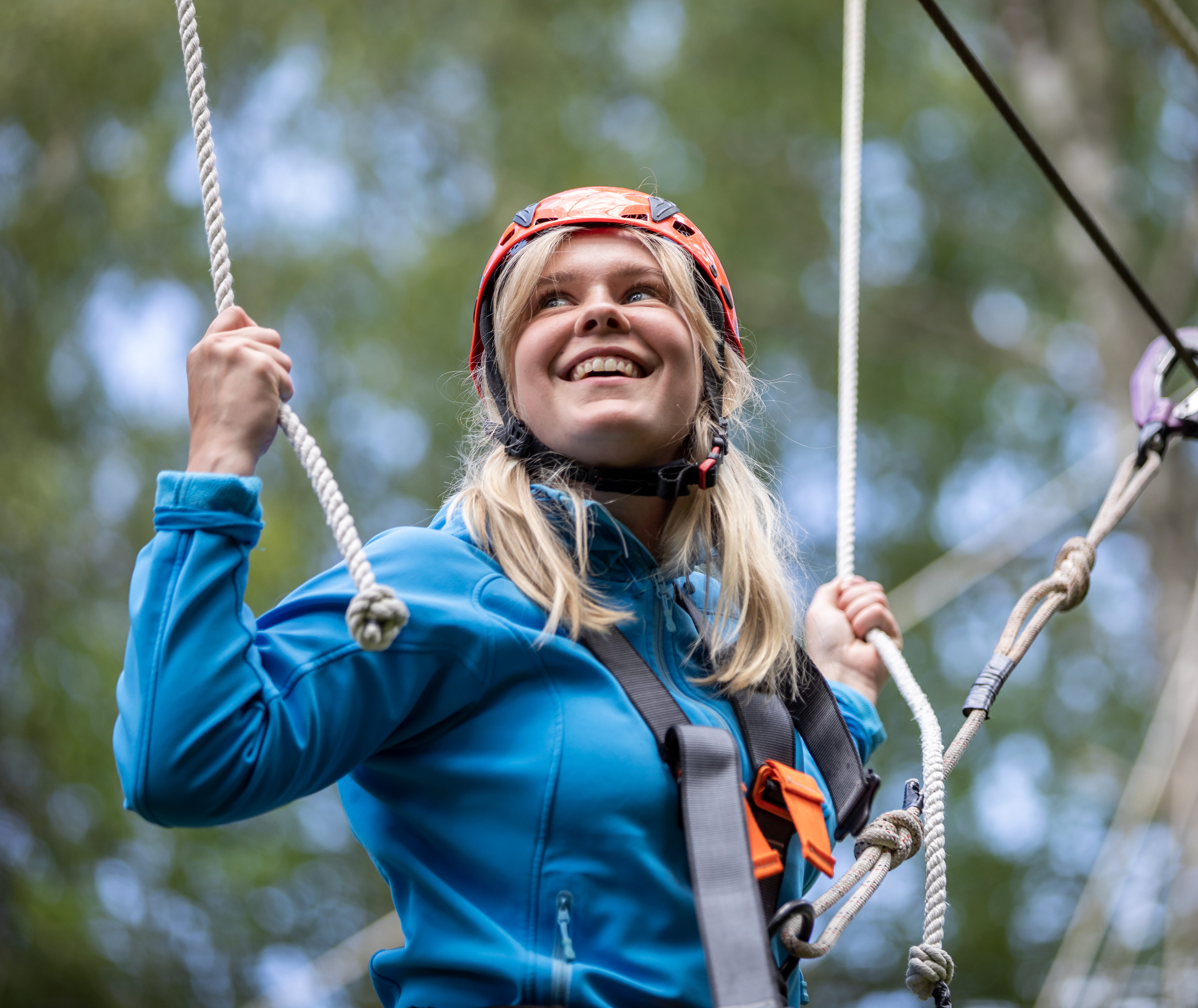 Dalslands Aktiviteter