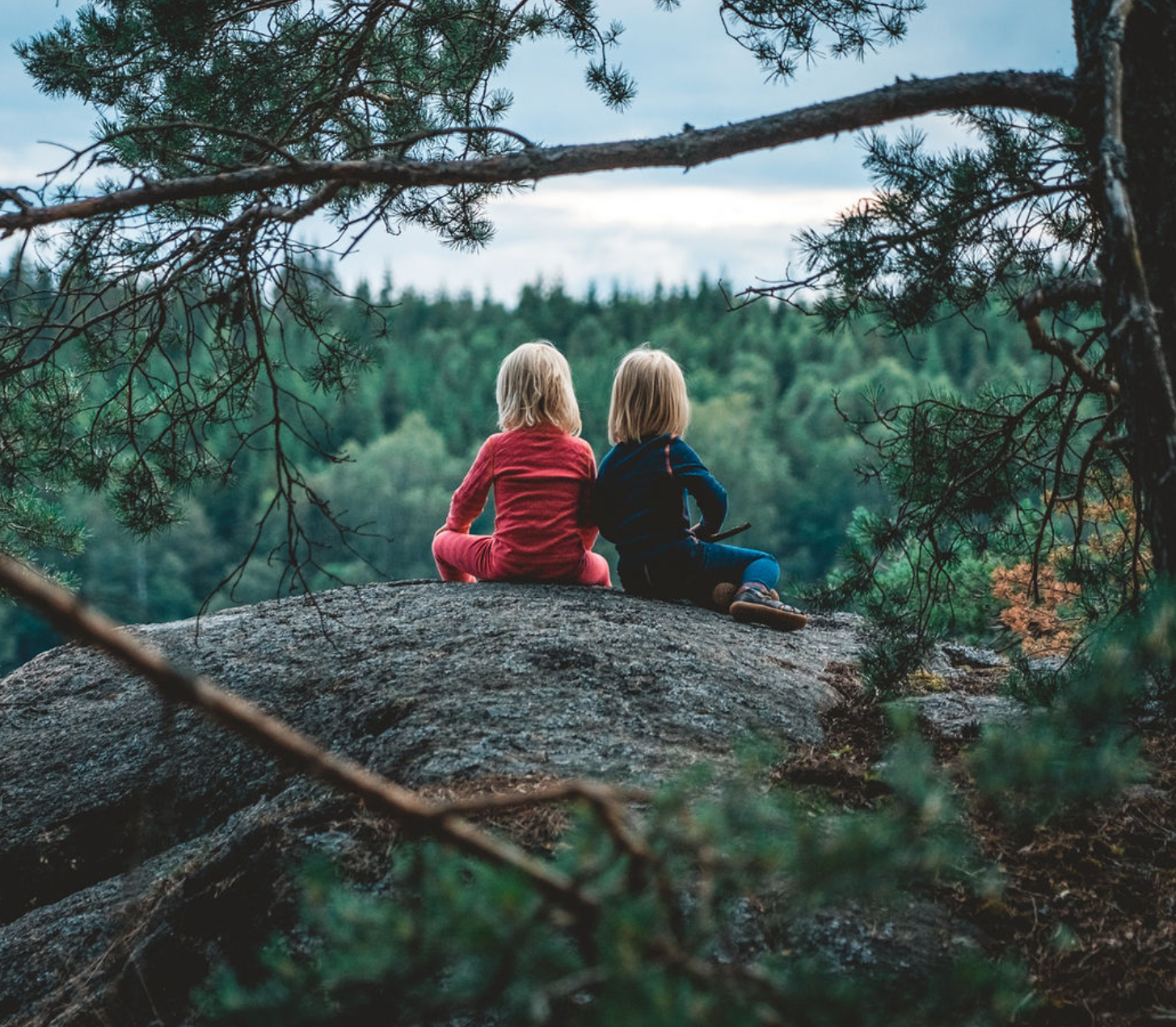 Kids in the forest, Dalsland