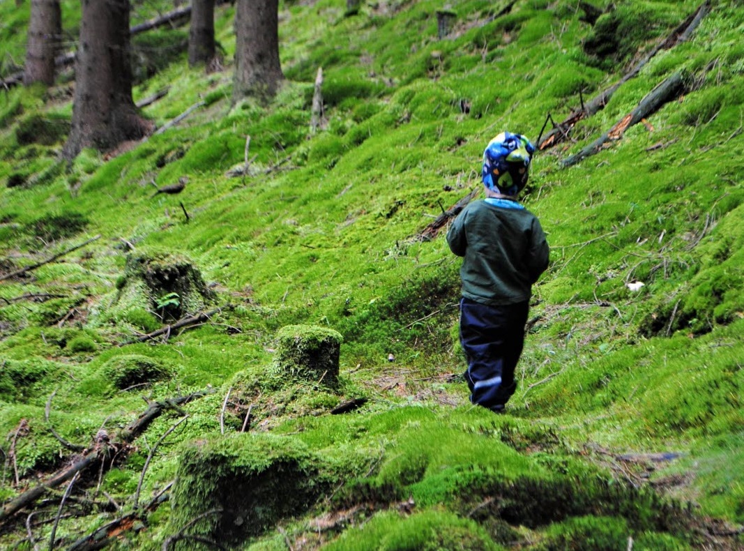 Barn i skogen, Dalsland