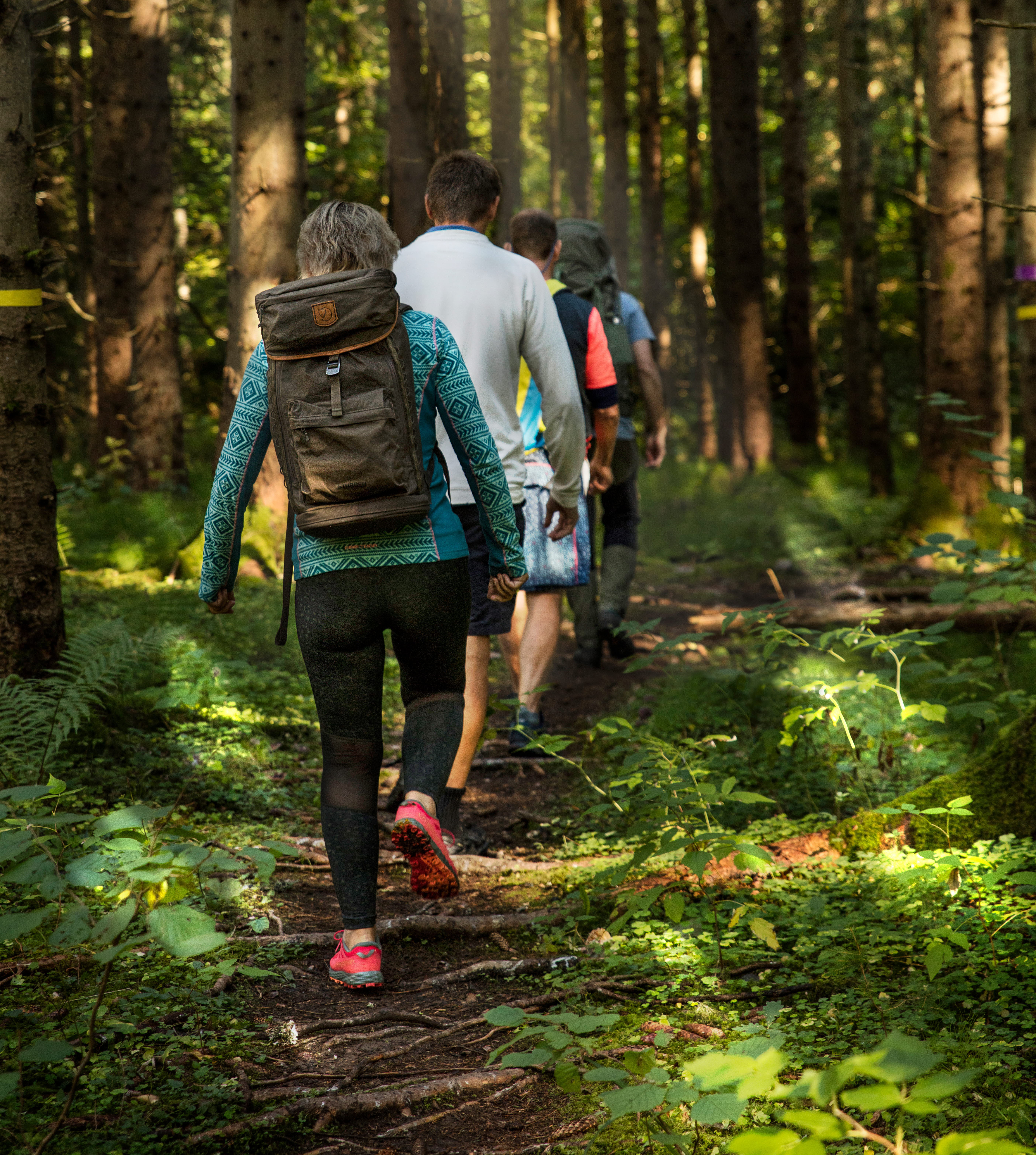 Grupp vandrar på led i Dalsland. 