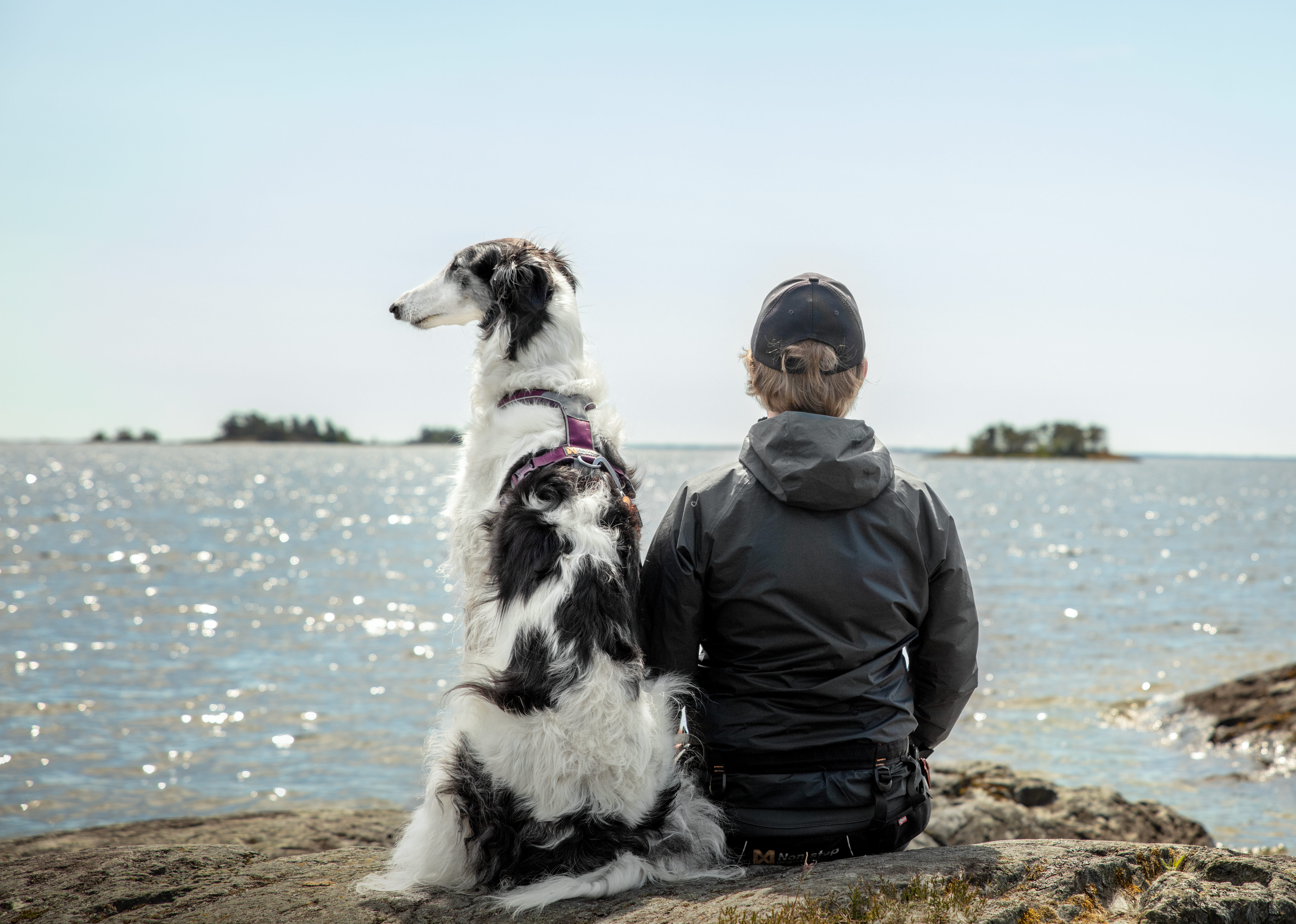 A man and a dog at Yttre Bodande.