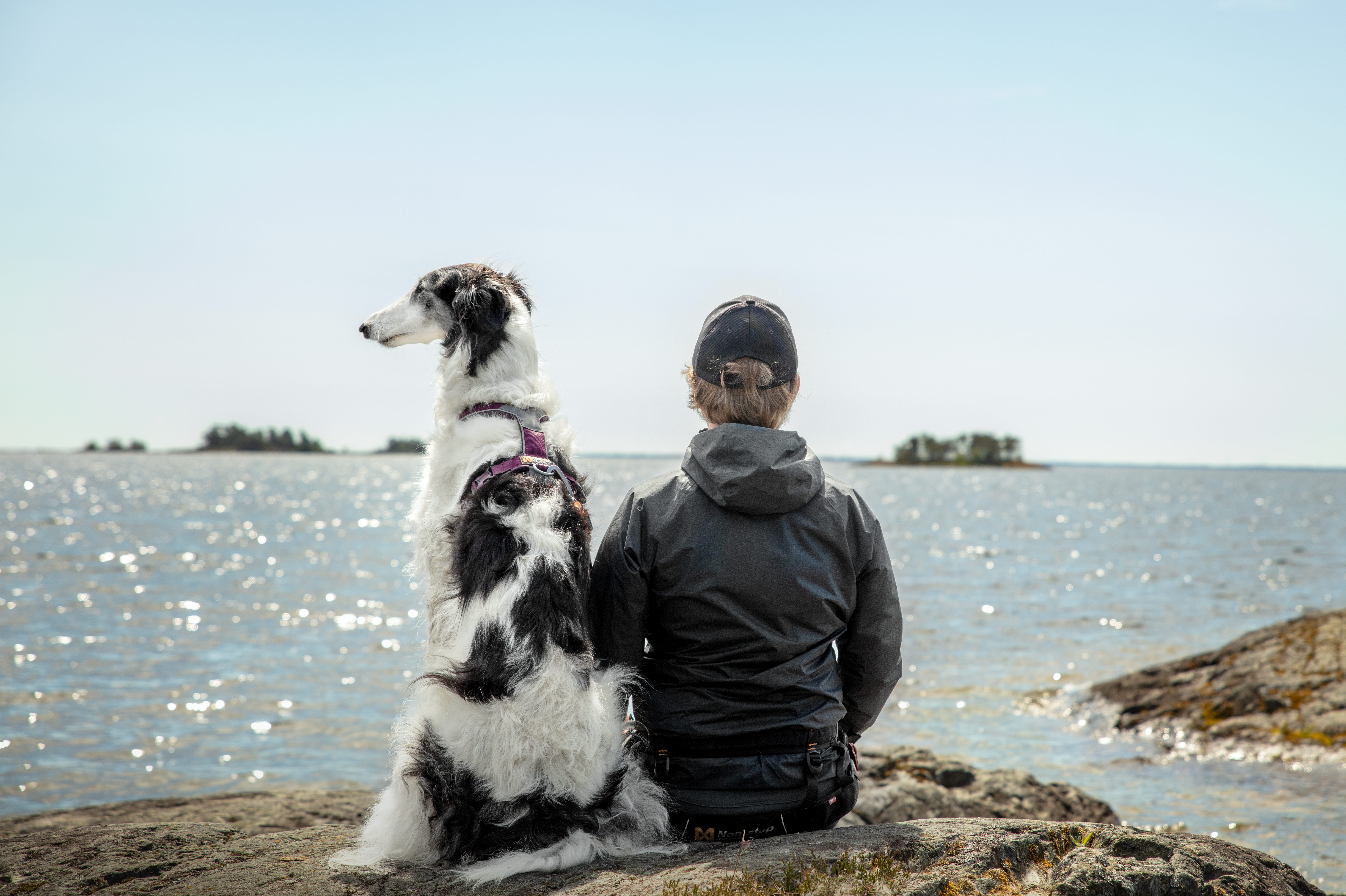 En man och en hund på Yttre Bodande.