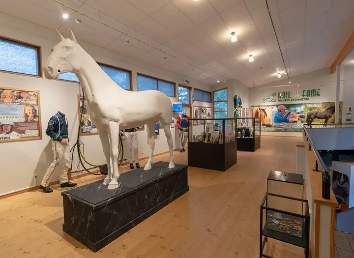 Nordiska travmuseet