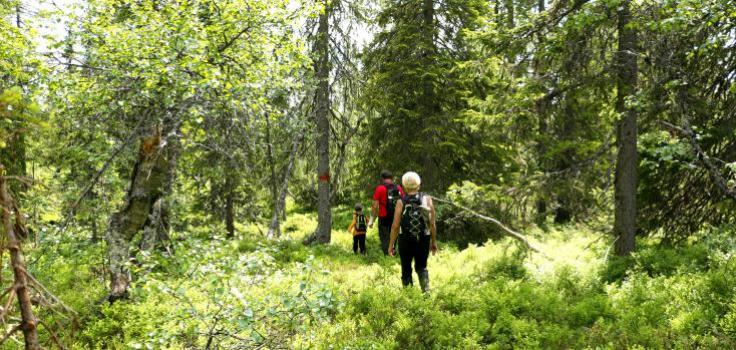 Sillebottens natur- och kulturstig