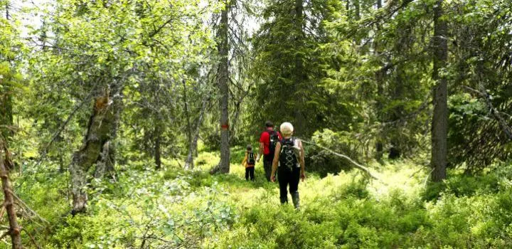 Sillebottens natur- och kulturstig
