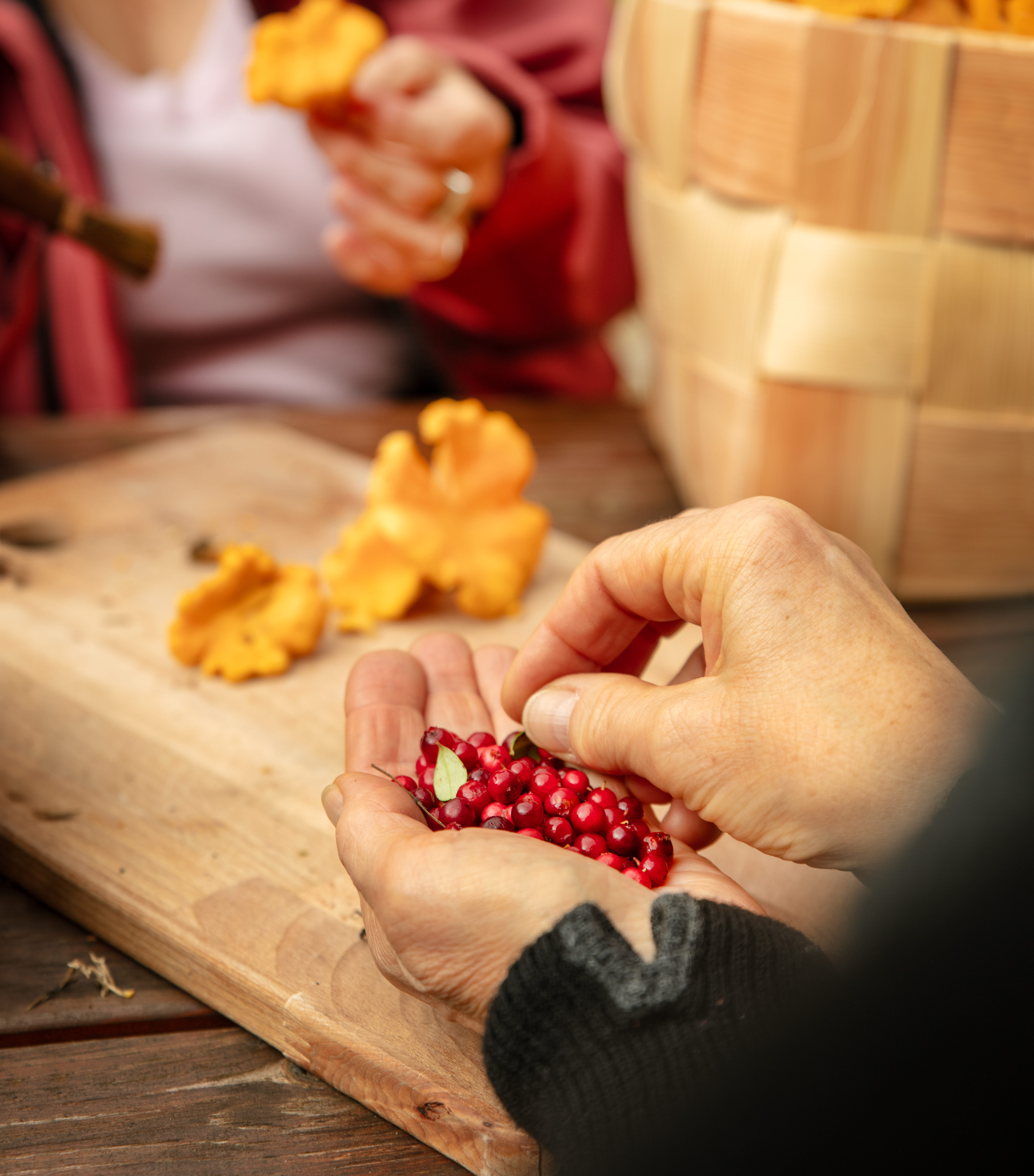 Svamp och bär i Dalsland