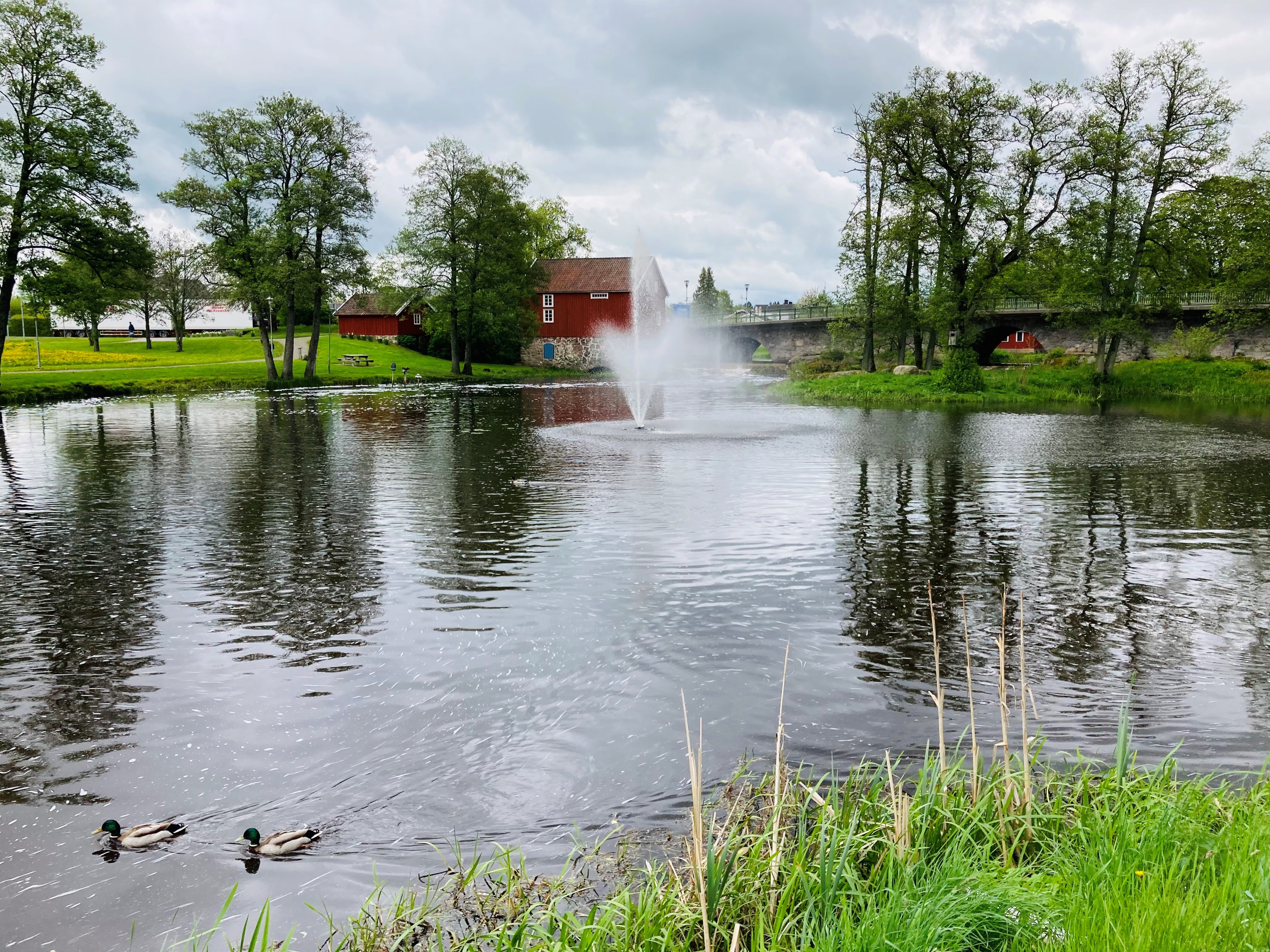 Vatten med två simmande änder. En fontän som sprutar vatten. Ett rött hus i bakrungen och gröna träd och gräsmatta. 