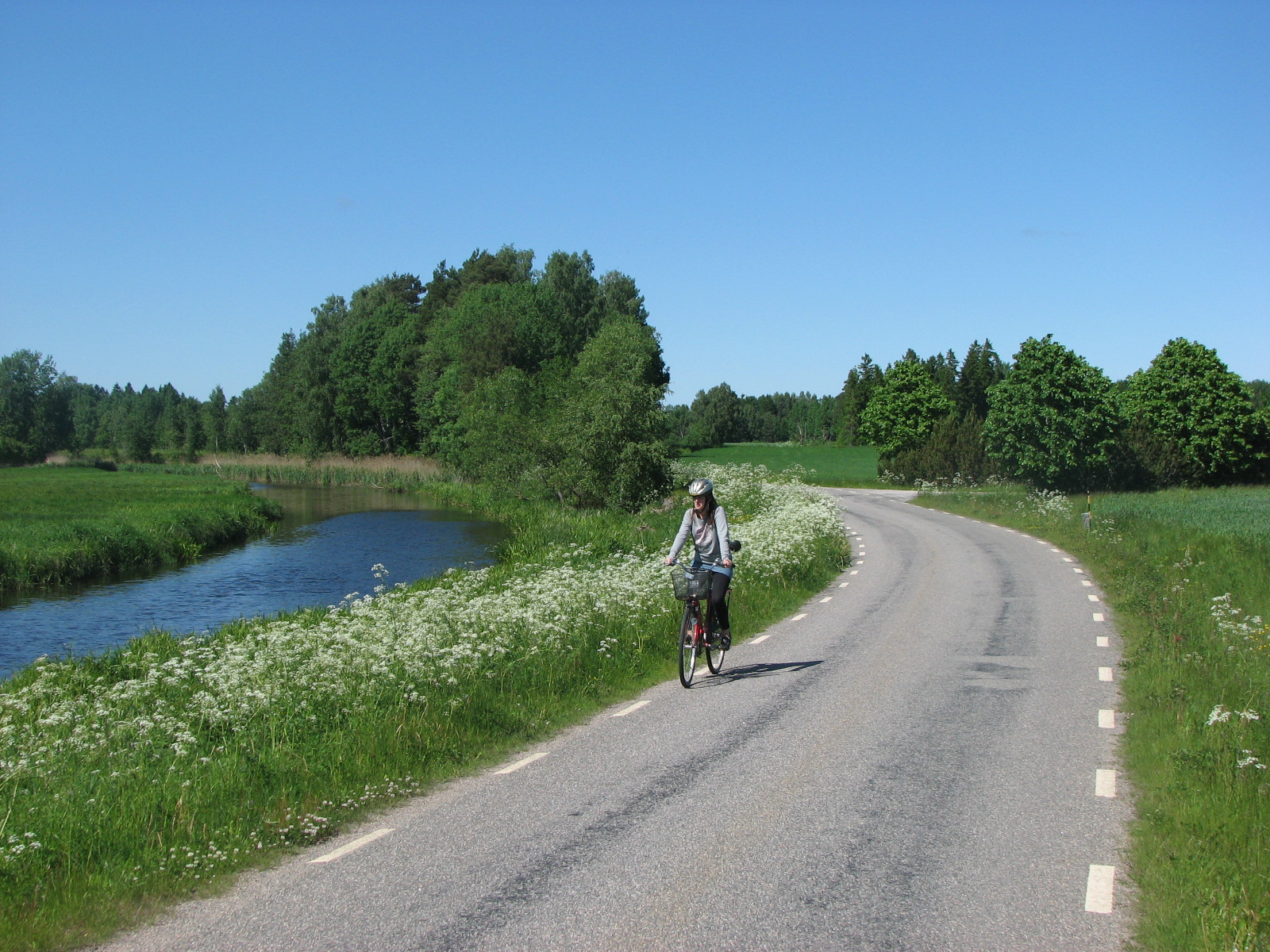 En cyklist på en landsväg med en å bredvid och grönt gräs och träd. 
