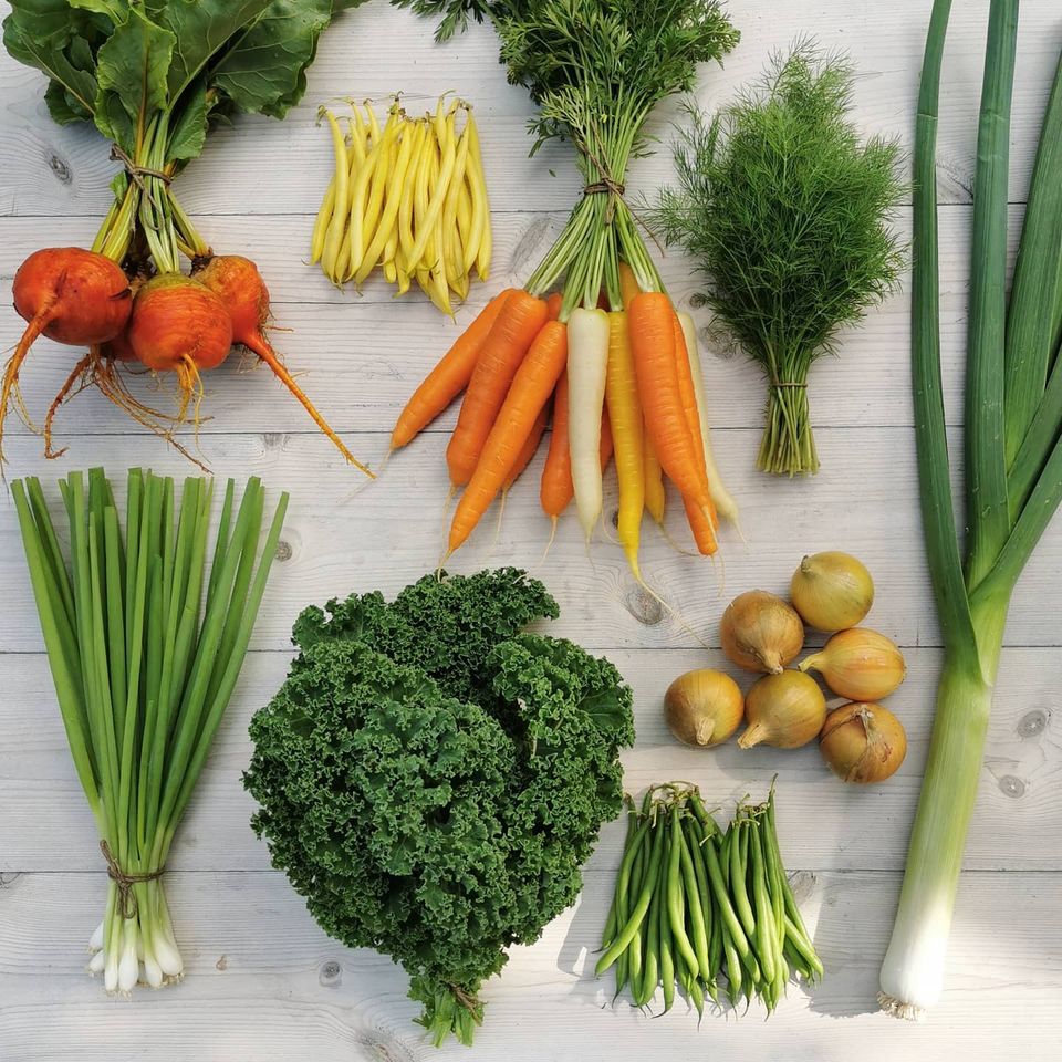 Morötter. grönkål, lök och bönor ligger på ett vitt trägolv.