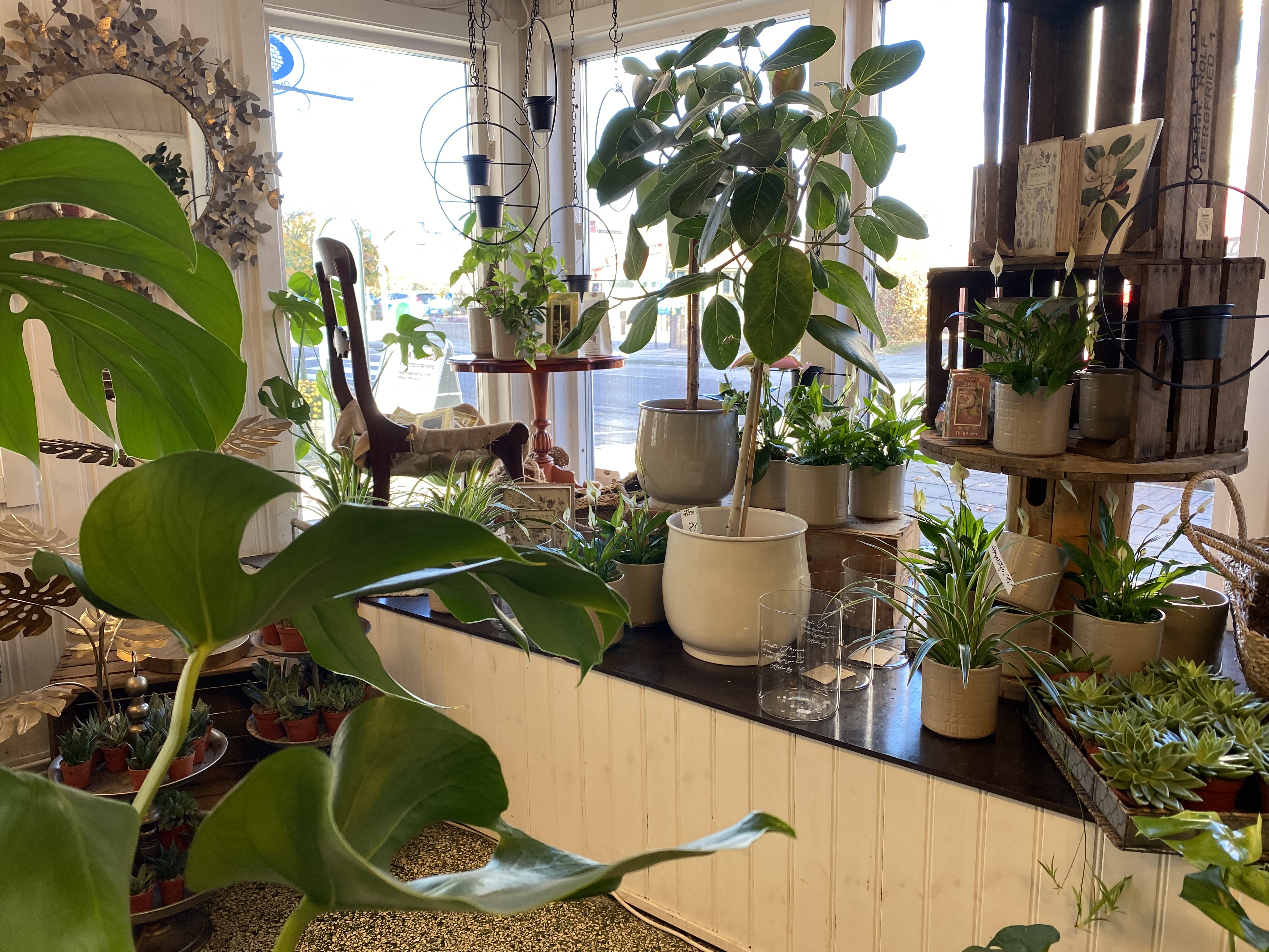 Dekåra Blomsterdesign i Nossebro